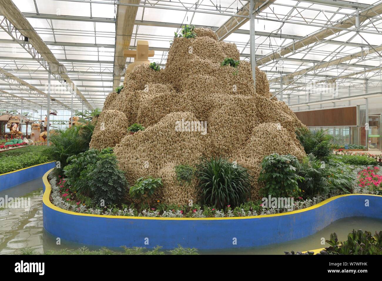 Vue d'un 26 mètres de long de ses sculptures en montagne à partir de 20 000 kilogrammes de plantes gingembre lors d'une expo à Huang county, ville d'Anyang, le centre de la Chine, il Banque D'Images