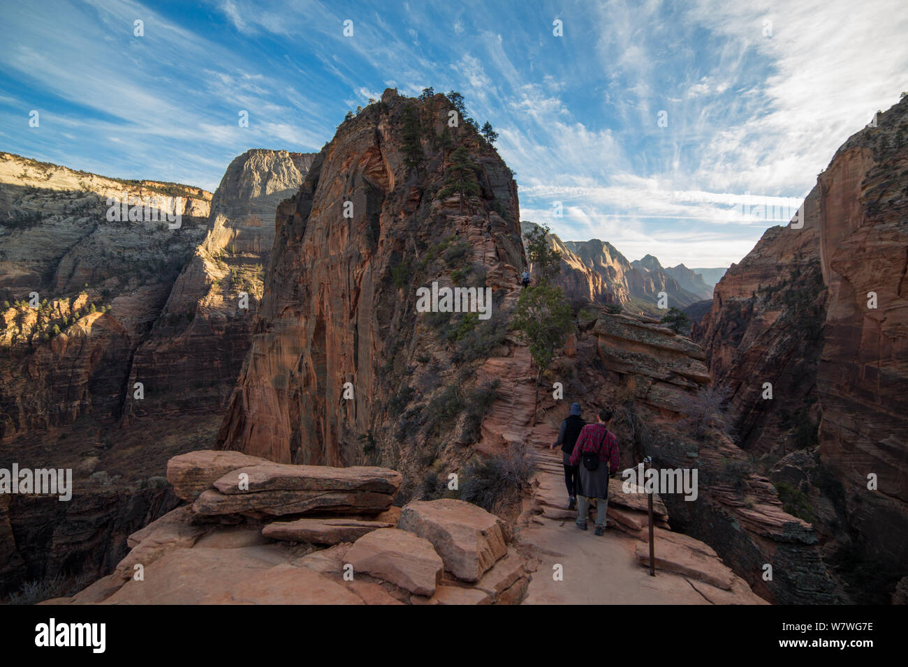 Les randonneurs est randonnées sur Angel, à l'atterrissage à Zion National Park, Utah, USA Banque D'Images