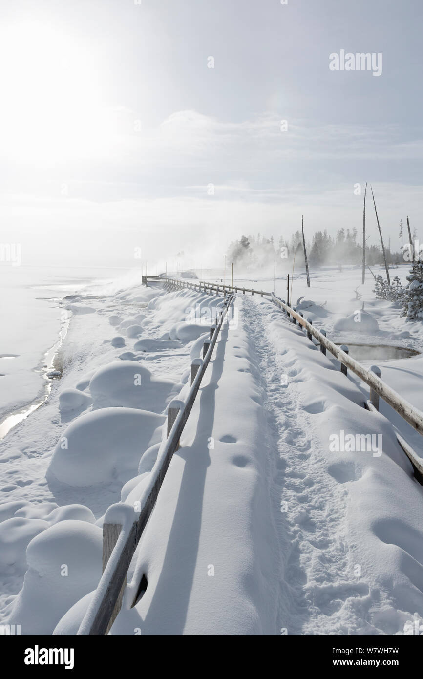 Passerelle couverte de neige sur le bord de Lac Yellowstone, West Thumb Geyser Basin, Parc National de Yellowstone, Wyoming, USA, février 2014. Banque D'Images