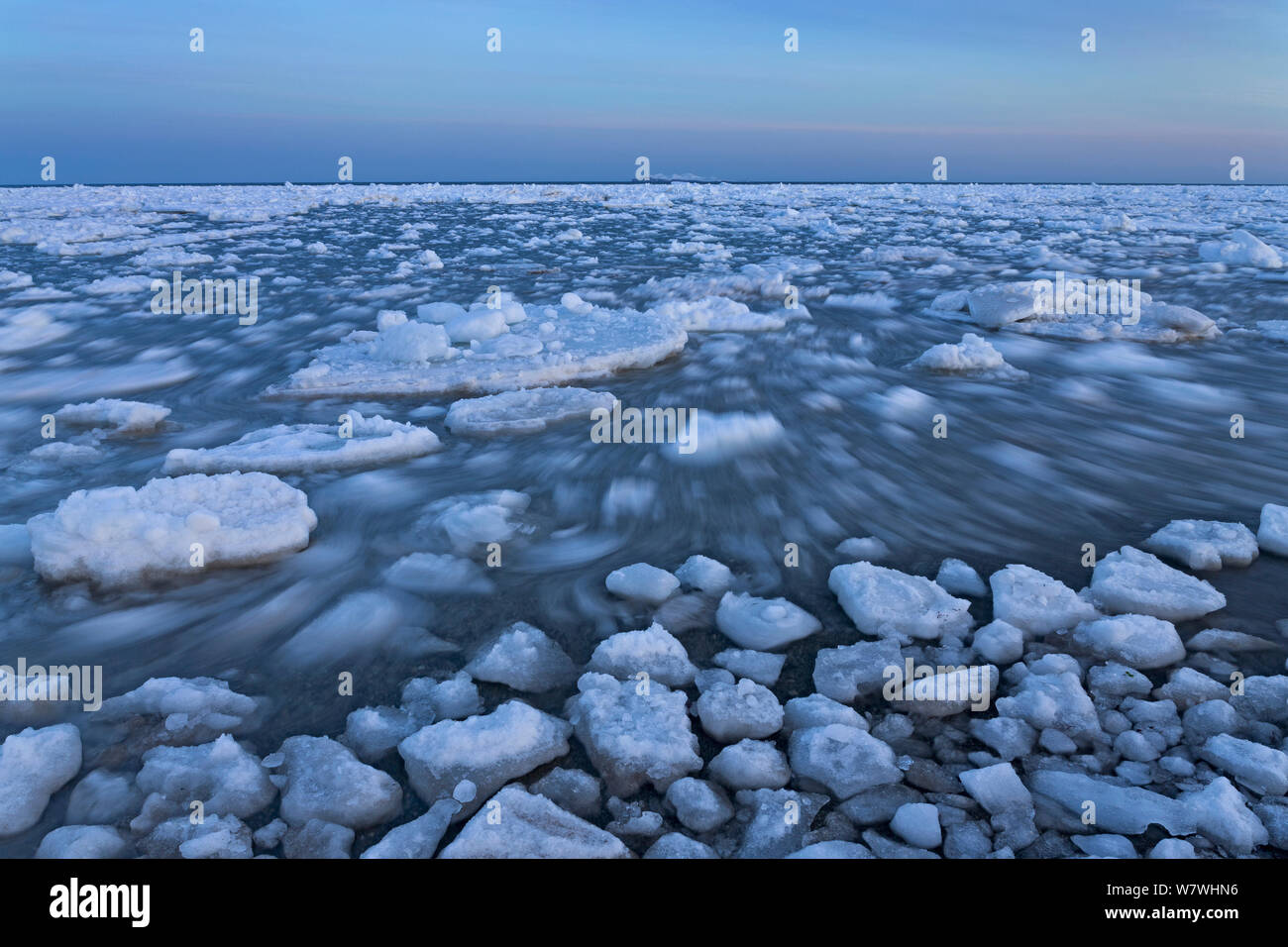 Déménagement de la glace de mer, îles de la Madeleine, golfe du Saint-Laurent, Québec, Canada, mars 2013. Banque D'Images