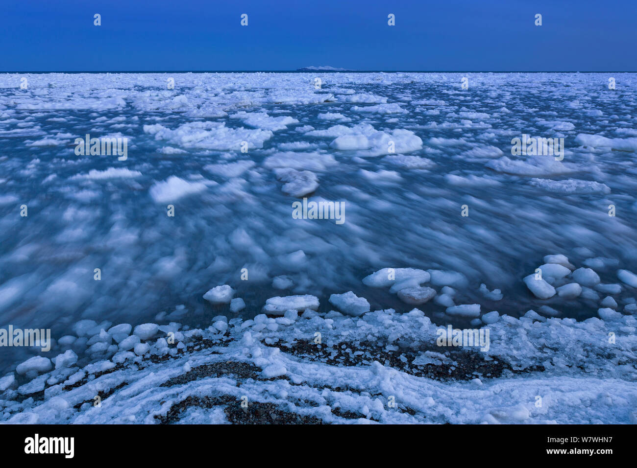 Déménagement de la glace de mer, îles de la Madeleine, golfe du Saint-Laurent, Québec, Canada, mars 2013. Banque D'Images