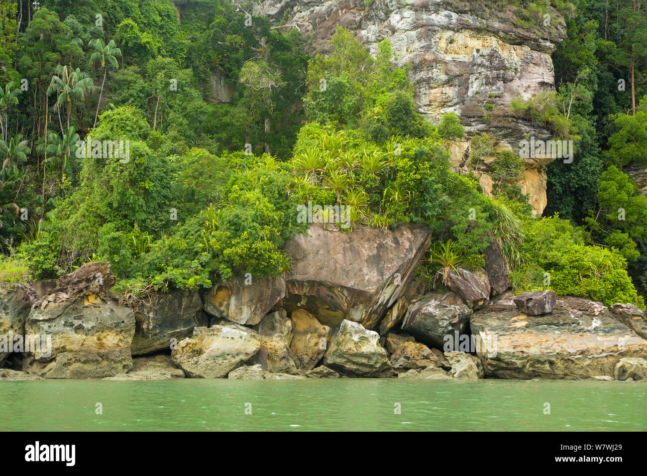Paysage avec la végétation côtière, parc national de Bako, Sarawak, Bornéo. Banque D'Images