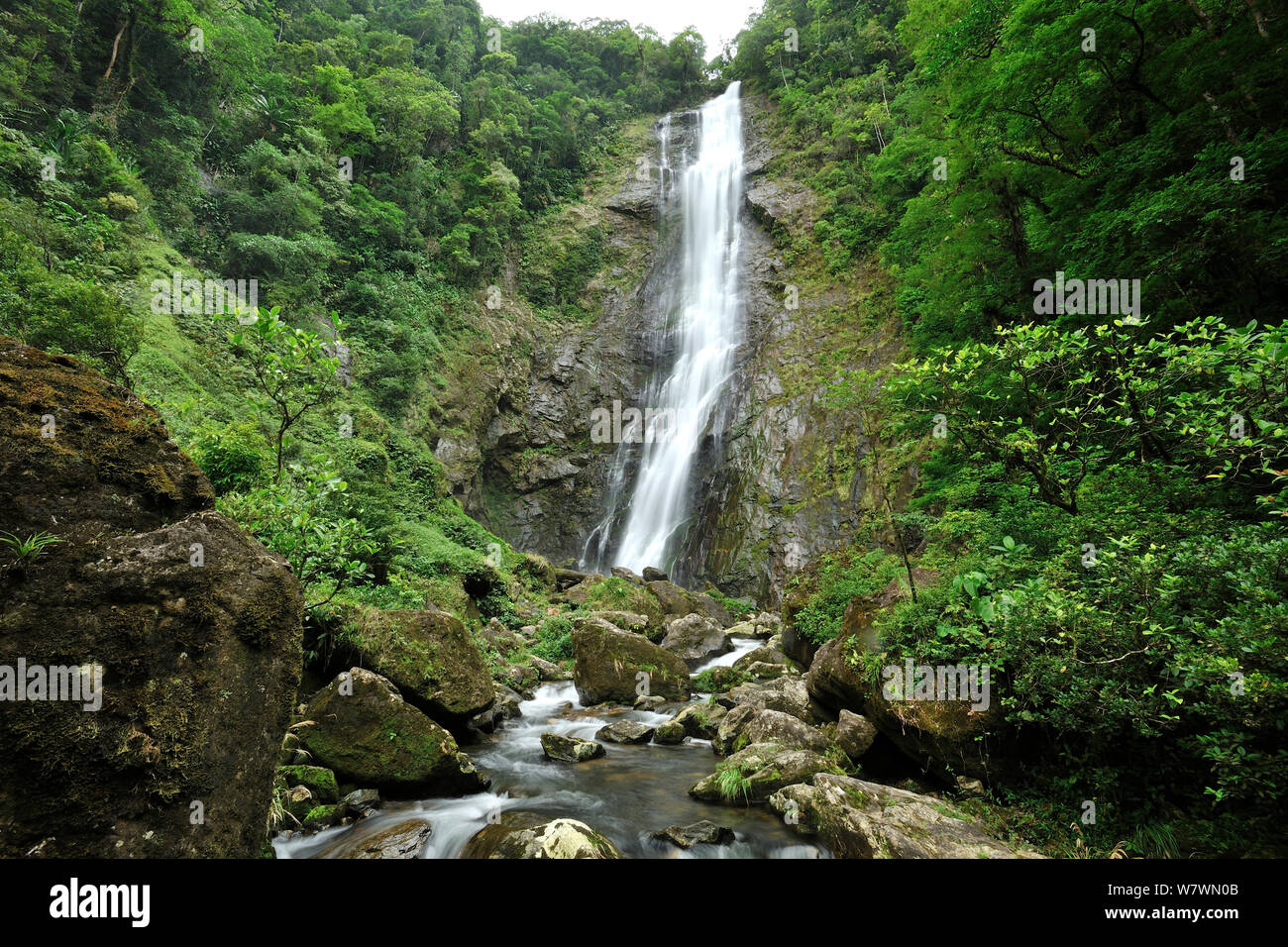 Cascade dans la forêt tropicale, Salto Morato / Salto Morato, Guaraquecaba RPPN Parana, au Brésil. Banque D'Images