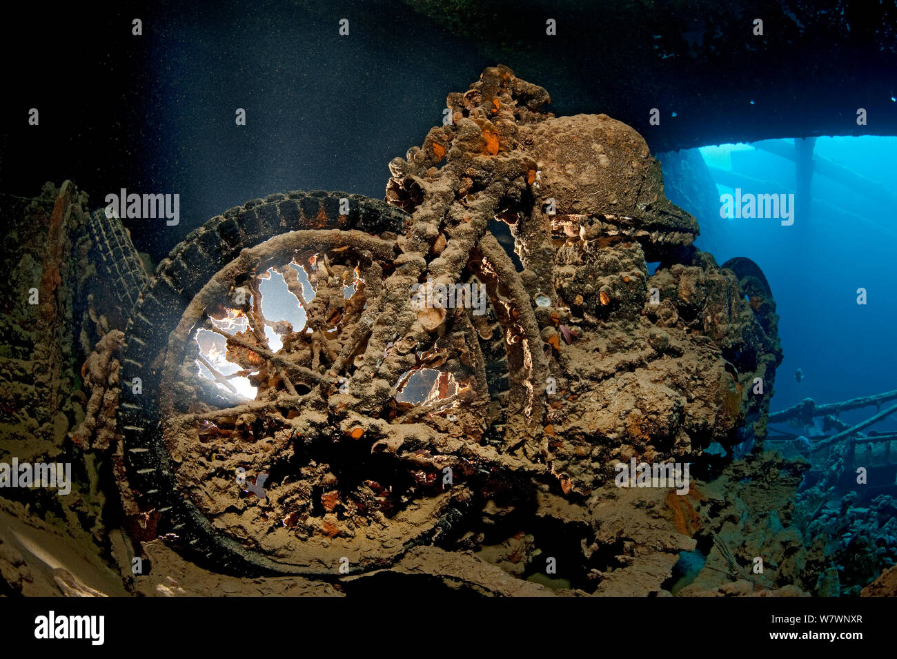 La Seconde Guerre mondiale BSA M20 de moto dans l'attente de l'épave du Thistlegorm. Sha&# 39;Ali, Sinaï, Égypte. Mer Rouge. Banque D'Images