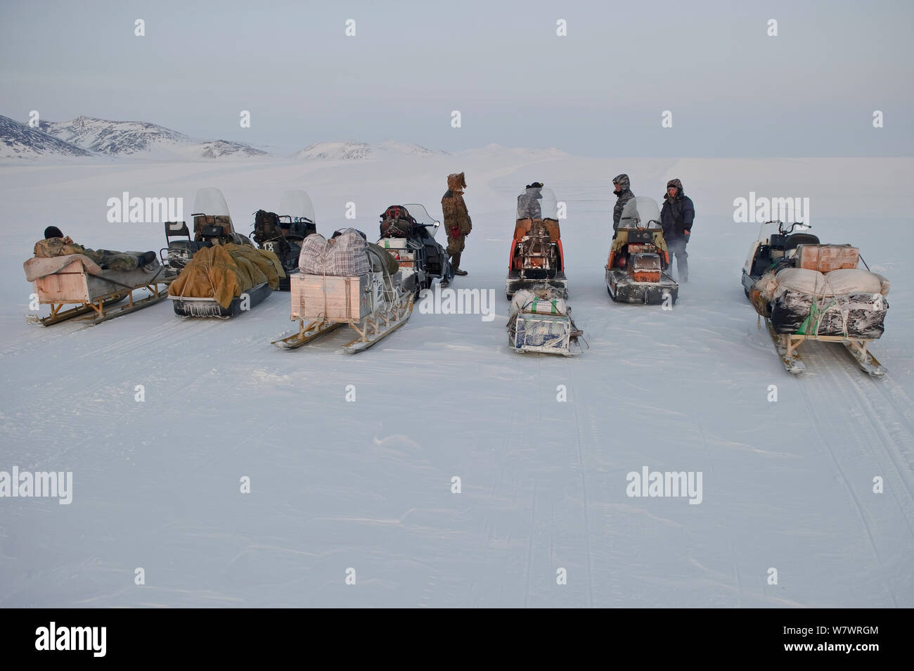 Les hommes sur les motoneiges la suppression d'éléments de signaler aux photographes camp, l'île Wrangel, en ce qui concerne l'Est de la Russie, mars 2011. Banque D'Images