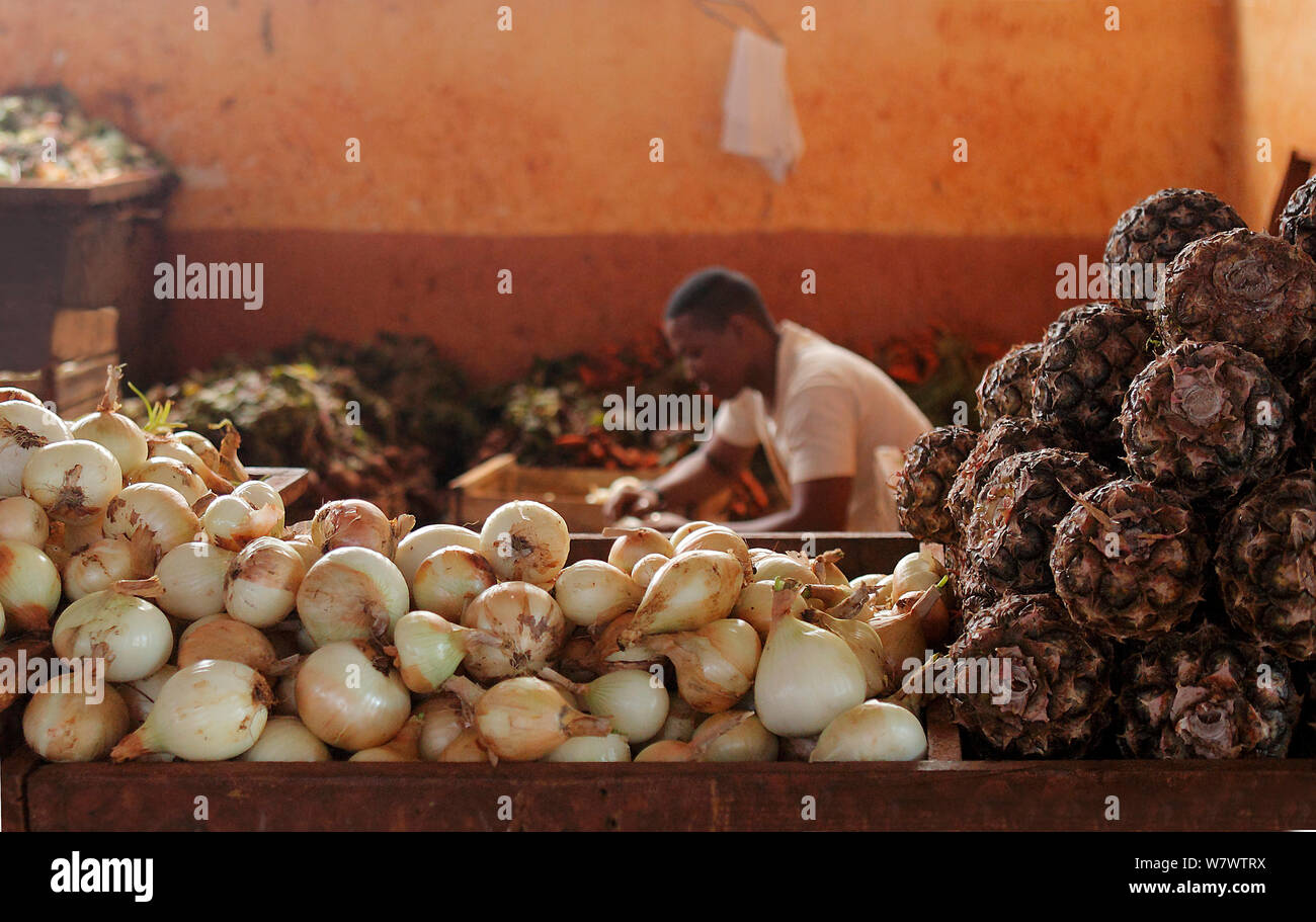 Marché de légumes locaux avec des oignons (Allium cepa) La Havane, Cuba, janvier. Banque D'Images
