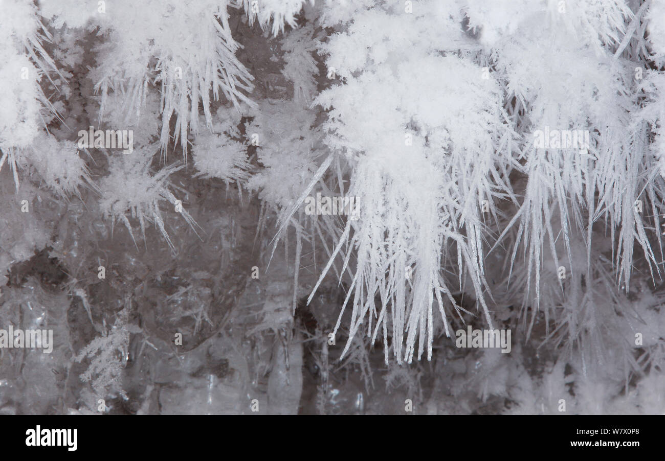 Cristaux de givre sur la paroi d'une grotte marine, Îles Apostle National Lakeshore, lac Supérieur, Squaw Bay (Wisconsin), janvier 2014. Banque D'Images