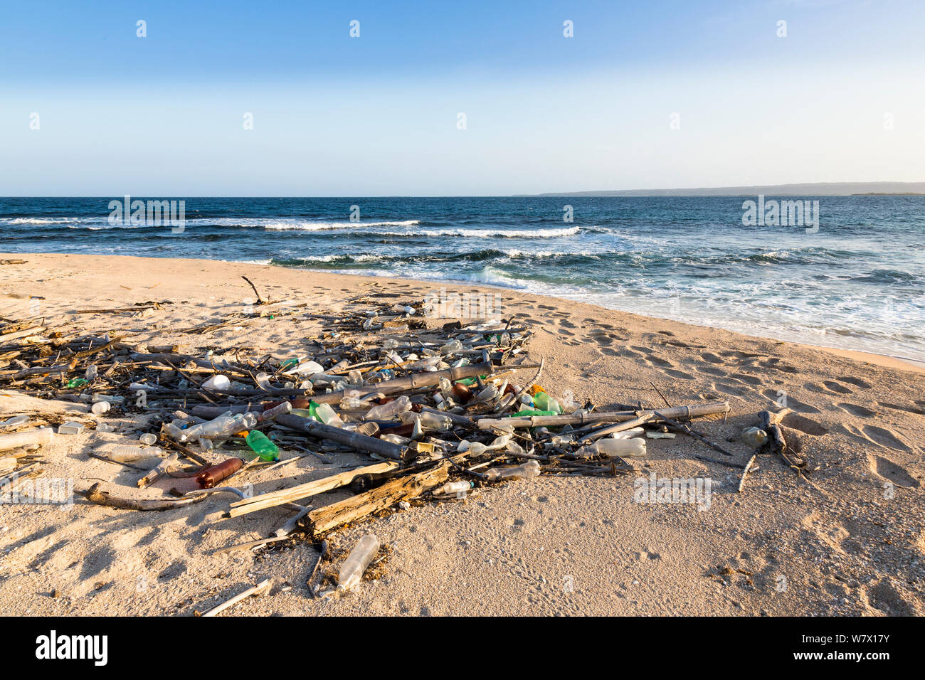 Les débris marins sur la plage le long de la mer des Caraïbes, le Venezuela, février 2014. Banque D'Images