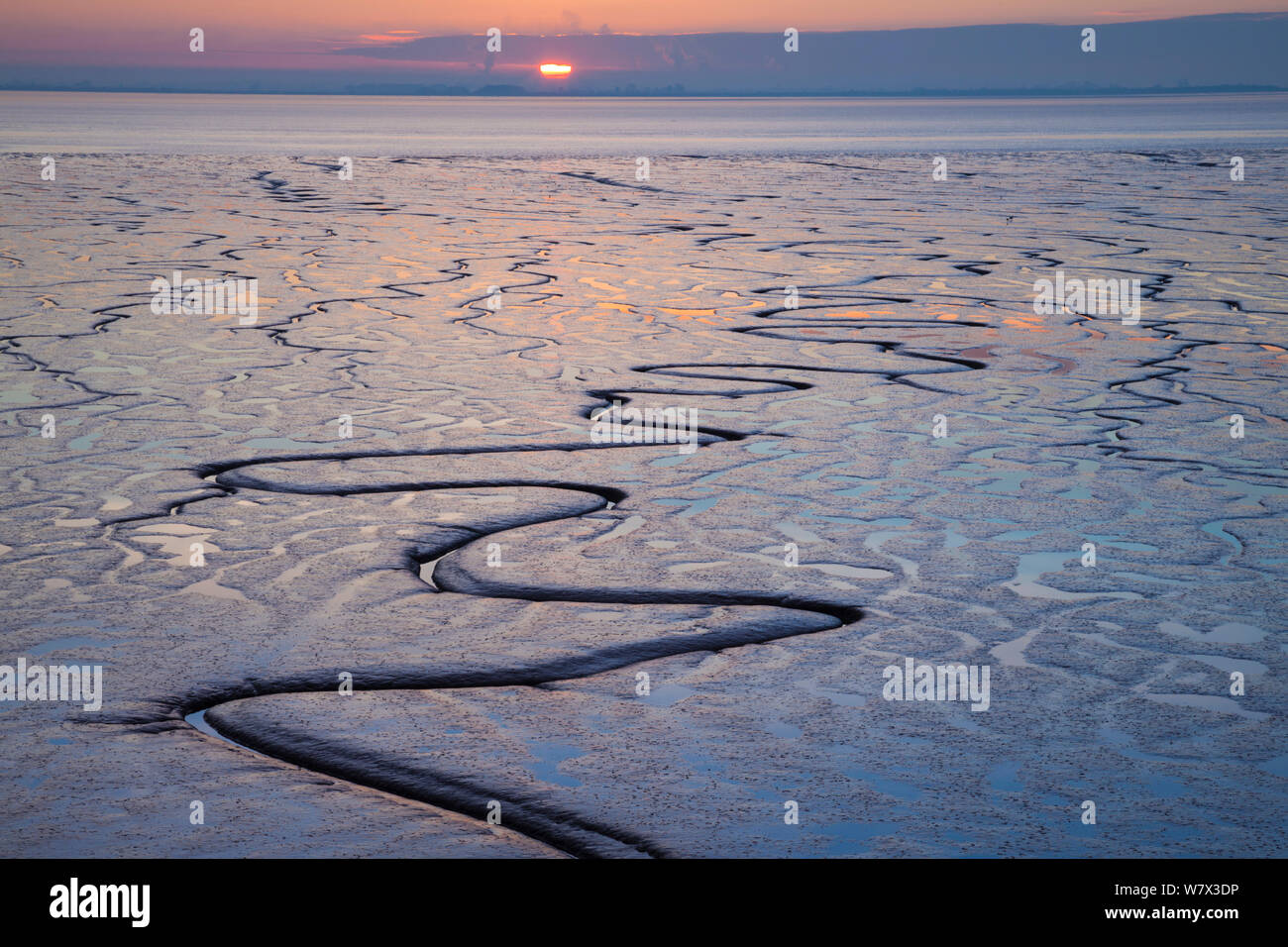 Dans les bas fonds vaseux de l'estuaire de la Humber reflétant le soleil couchant. East Yorkshire, Angleterre, Royaume-Uni, janvier 2014. Banque D'Images