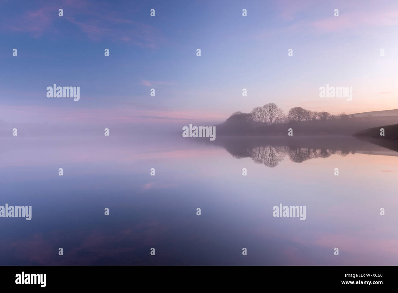 Les arbres et les réflexions à Tamar inférieur de lacs, North Cornwall/Devon frontière, UK. Janvier 2013. Banque D'Images