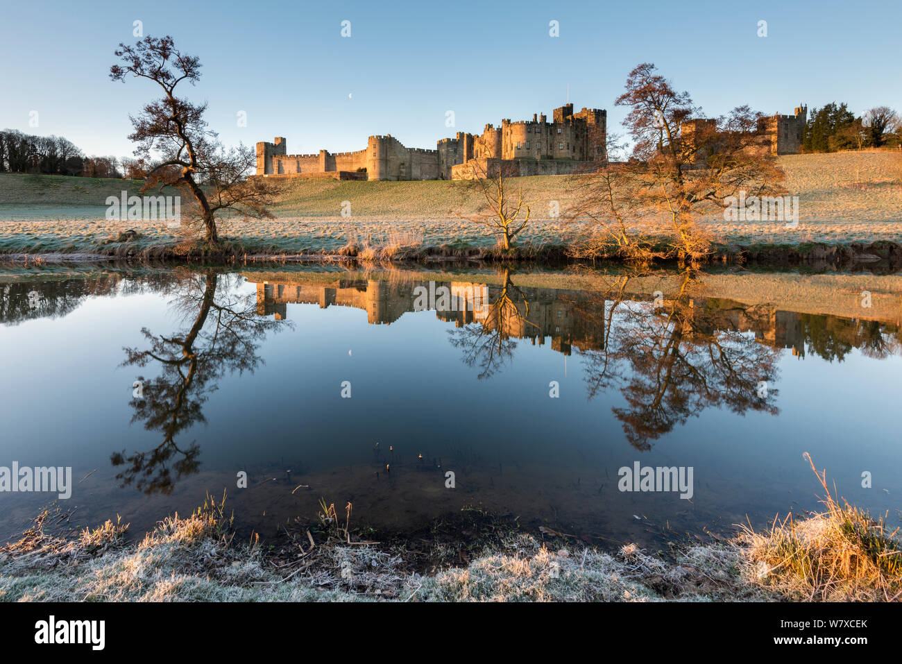 Château d'Alnwick, frosty matin et réflexions, Alnwick, Northumberland, Angleterre. Mars 2014. Banque D'Images