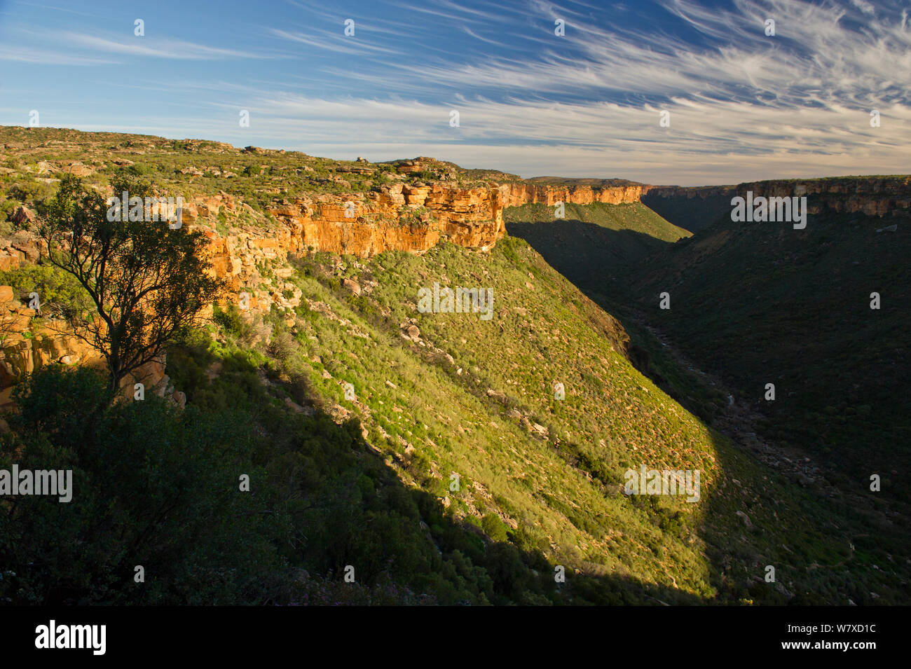 Plus de lumière de l'après-midi, la gorge de la rivière Oorlogskloof Nature Reserve, Northern Cape, Afrique du Sud. La rivière dans cette gorge est l'un des deux sites de nidification connus pour la disparition d'holothuries de Clanwilliam (Labeo seeberi) Juillet 2013. Banque D'Images