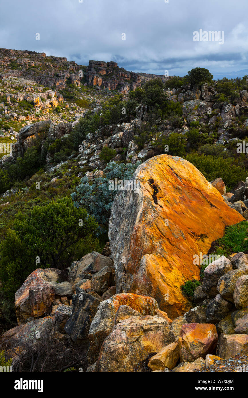 Paysage de montagne, Pakhuis Pass, Clanwilliam, montagnes Cederberg, province de Western Cape, Afrique du Sud, septembre 2012. Banque D'Images