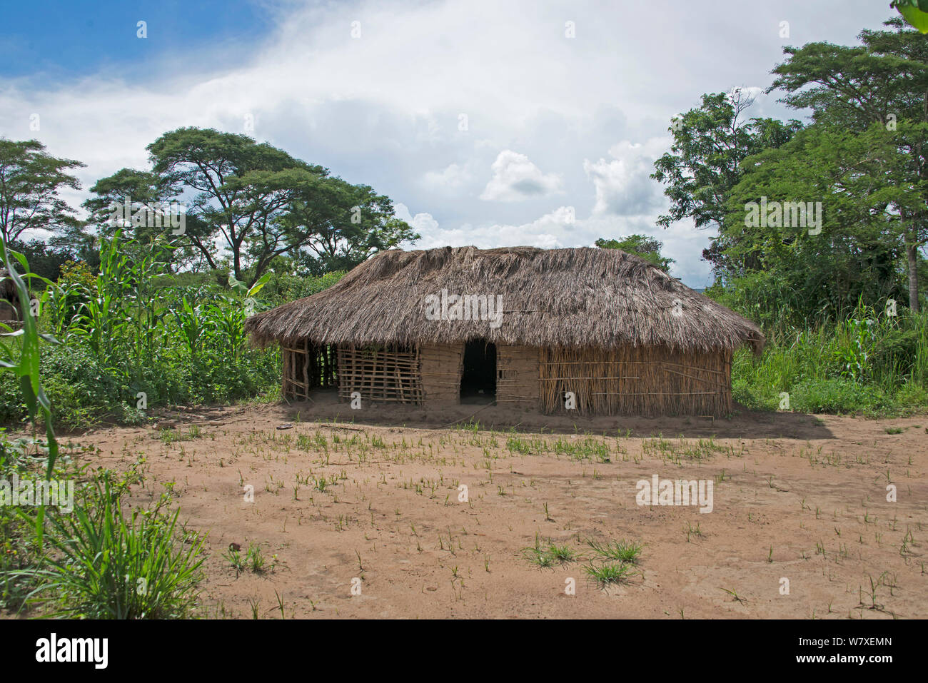 Village abandonné récemment, Katanga, République démocratique du Congo, mars 2012. Banque D'Images
