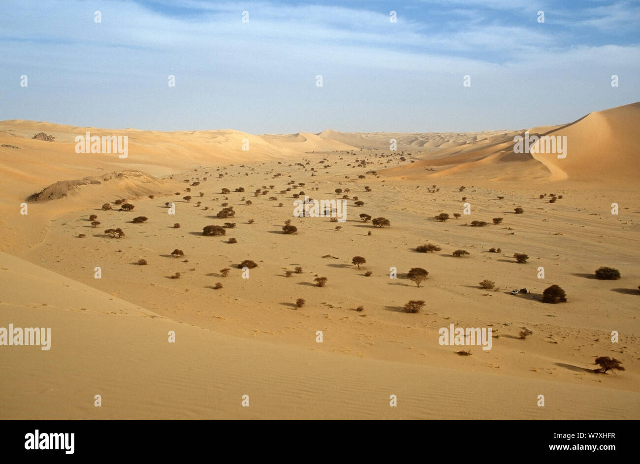 Paysage du désert du Sahara central, Niger, 2004. Banque D'Images