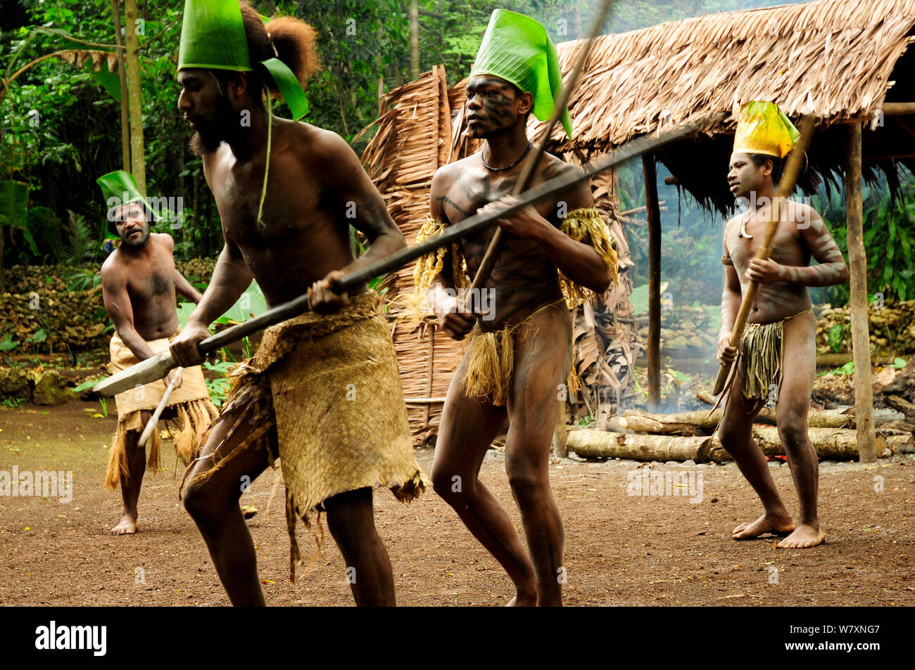 Les hommes en costume traditionnel au cours de danse tribale. L'île d'Efate, province de Shefa, Vanuatu, septembre 2008. Banque D'Images