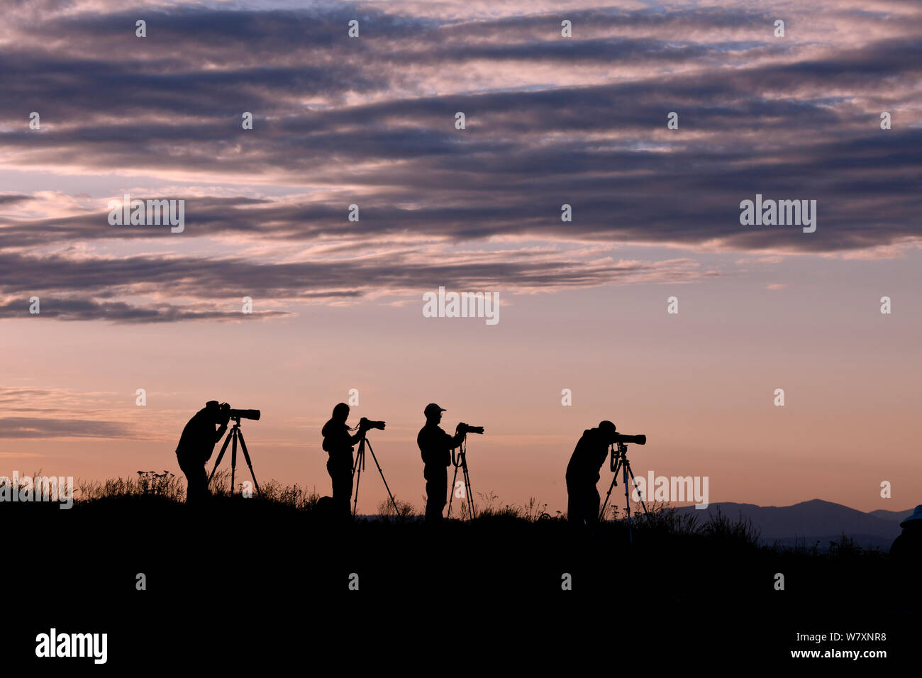 Les photographes qui se profile à l'aube sur Steptoe Butte, Steptoe Butte State Park, Whitman County, Washington, USA, juin 2014. Banque D'Images