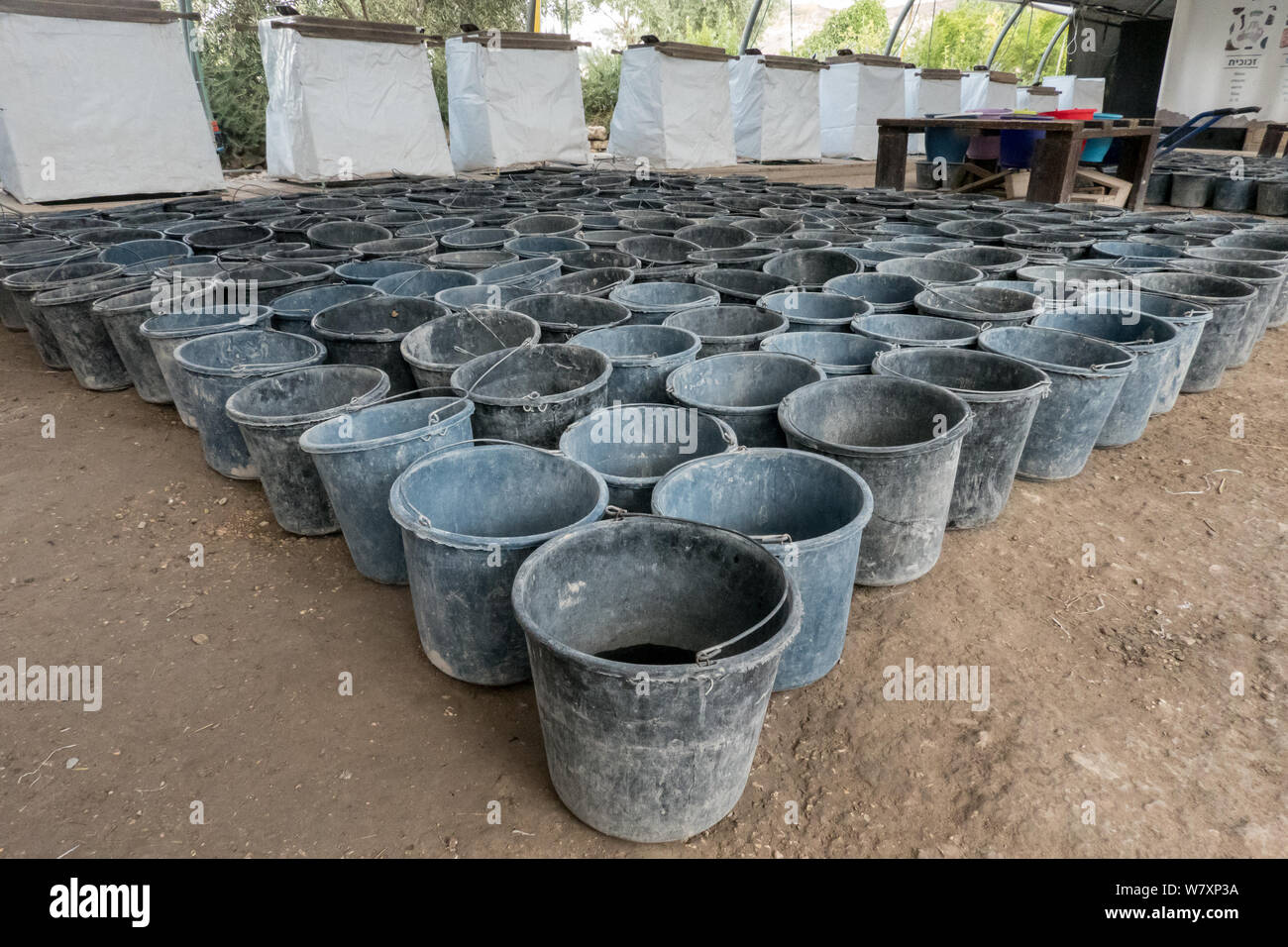 Jérusalem, Israël. 7 Août, 2019. Les visiteurs obtiennent l'expérience de première main à l'Emek Tzurim Mont du Temple Projet tamisage tamisage à travers les débris déterré par le Waqf musulman sur le mont du Temple et d'un dumping dans la vallée du Cédron. Second Temple de nombreux vestiges archéologiques ont été découverts. Les archéologues accusent le Waqf de se livrer à la destruction illégale de vestiges d'édifices juifs et des artefacts dans une tentative délibérée d'effacer liens juif historique au Mont du Temple. Les juifs religieux sont en train d'observer les "Trois Semaines" ou "Ben HaMetzarim', une période de deuil sur la destruction de Banque D'Images