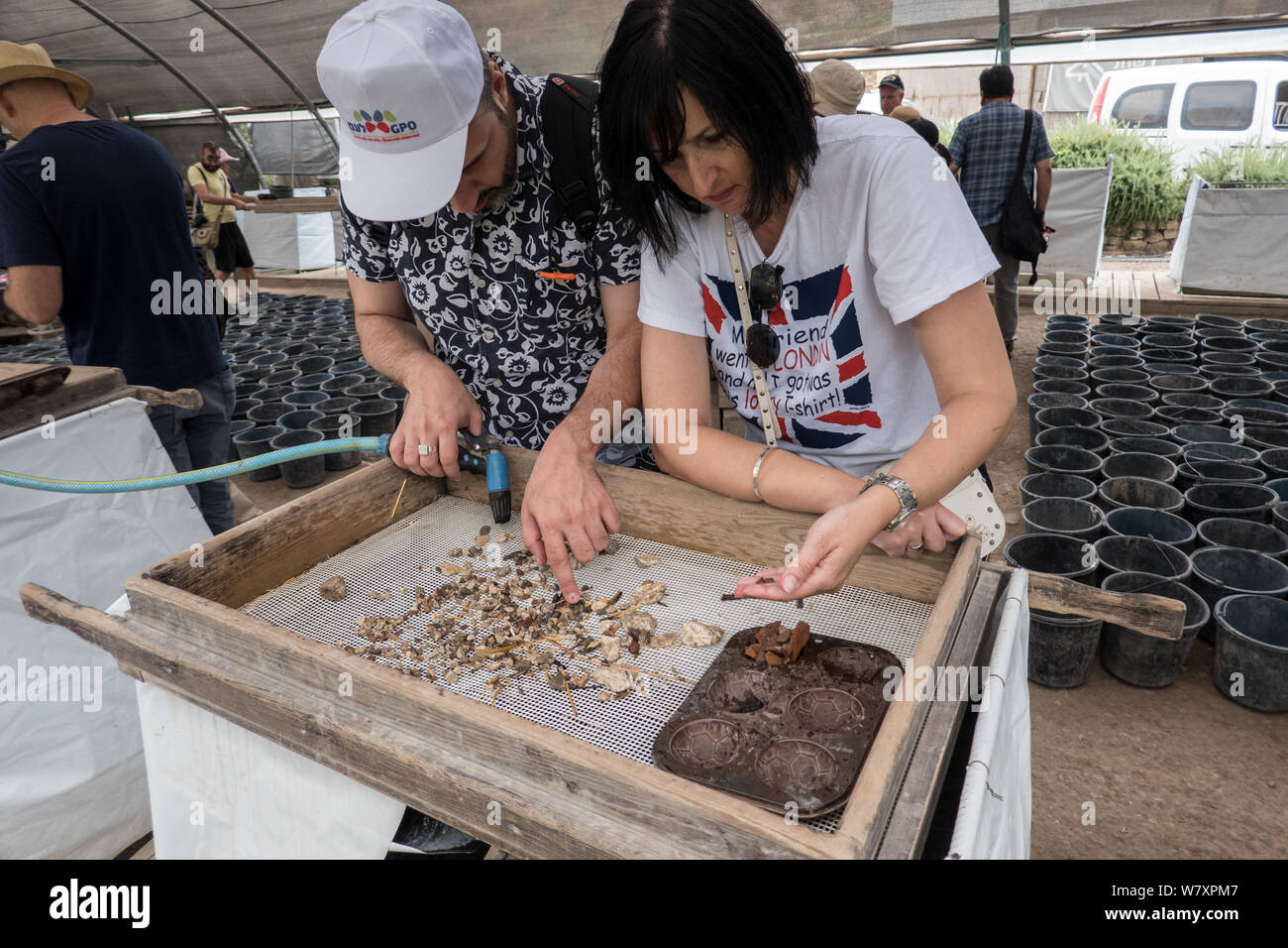 Jérusalem, Israël. 7 Août, 2019. Les visiteurs obtiennent l'expérience de première main à l'Emek Tzurim Mont du Temple Projet tamisage tamisage à travers les débris déterré par le Waqf musulman sur le mont du Temple et d'un dumping dans la vallée du Cédron. Second Temple de nombreux vestiges archéologiques ont été découverts. Les archéologues accusent le Waqf de se livrer à la destruction illégale de vestiges d'édifices juifs et des artefacts dans une tentative délibérée d'effacer liens juif historique au Mont du Temple. Les juifs religieux sont en train d'observer les "Trois Semaines" ou "Ben HaMetzarim', une période de deuil sur la destruction de Banque D'Images