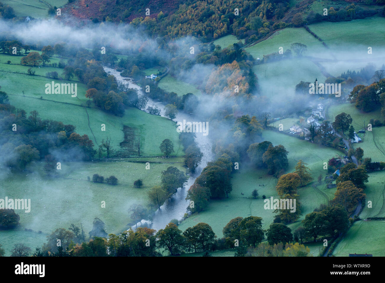 Brume d'automne dans la vallée de la Dee (Dyffryn Dyfrdwy) près de Llangollen, Denbighshire, Wales, UK, novembre 2013. Banque D'Images