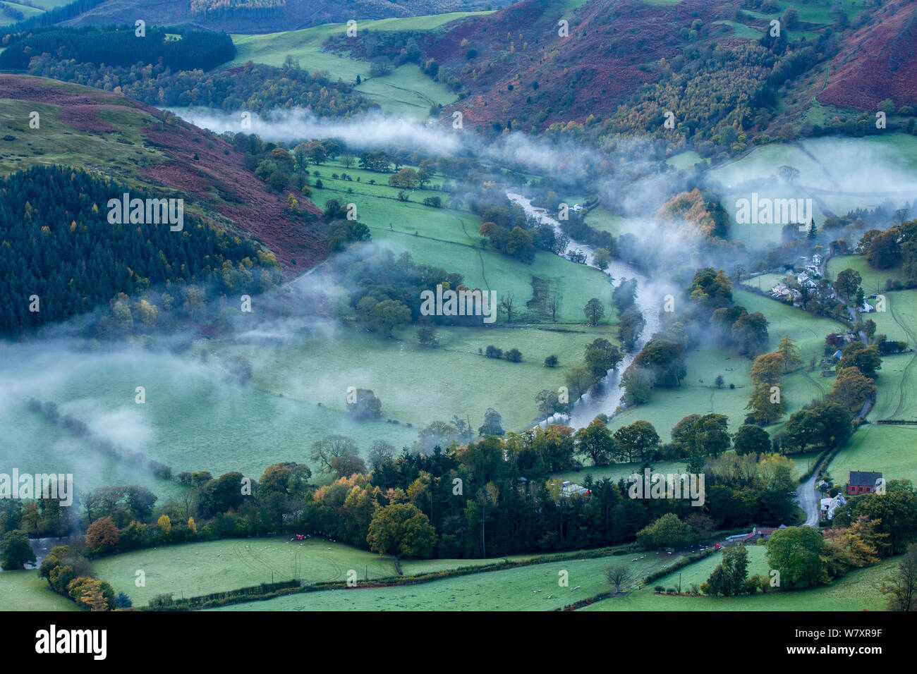 Brume d'automne dans la vallée de la Dee (Dyffryn Dyfrdwy) près de Llangollen, Denbighshire, Wales, UK, novembre 2013. Banque D'Images