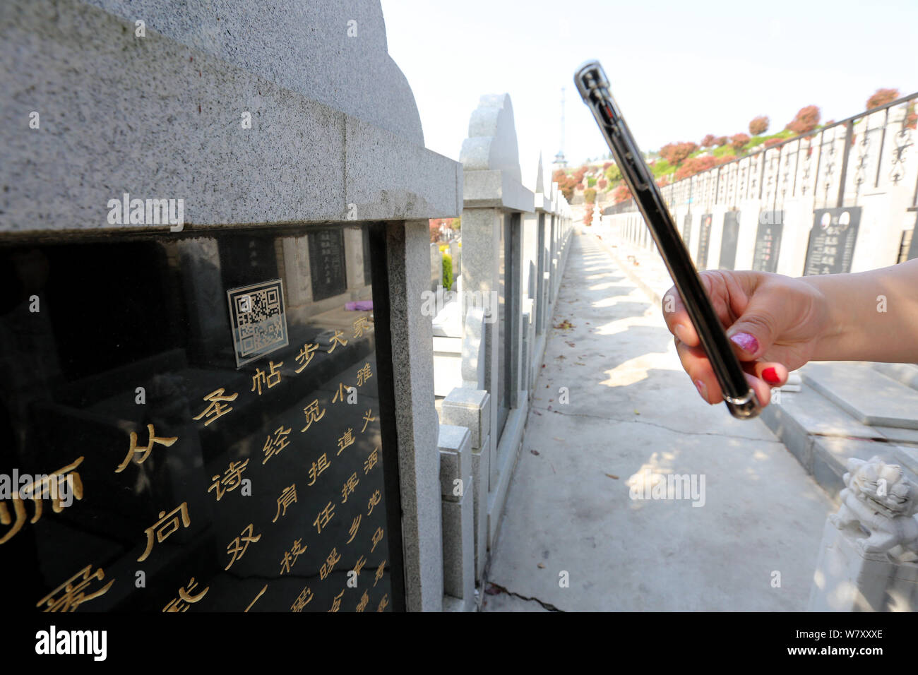Une section locale utilise son téléphone portable pour scanner le code QR sur une pierre tombale d'obtenir des informations détaillées au 9, Boulevard Maréchal Joffre Memorial Park dans la ville de Xiangyang, le centre de la Chine Banque D'Images