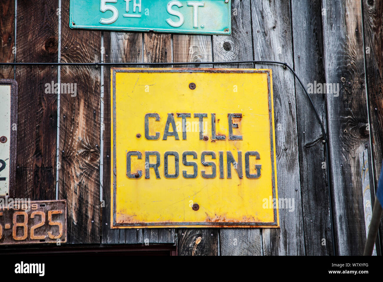 Panneaux vintage, panneau de rue Cattle Crossing sur une grange, Vermont, Nouvelle-Angleterre, élevage de bétail d'époque Banque D'Images