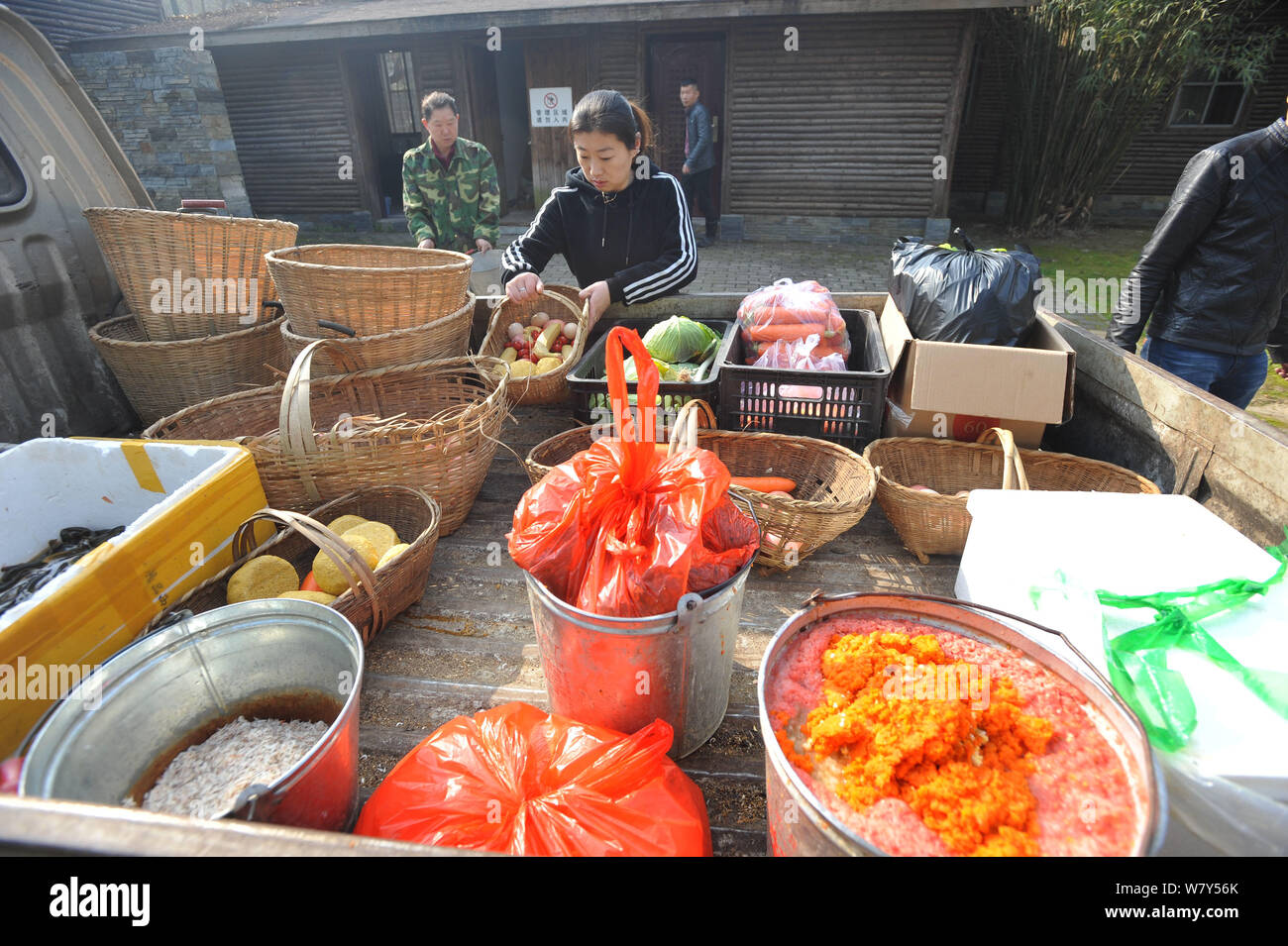 Un travailleur classe les différents aliments pour animaux au zoo de Wuhan, province de Hubei en Chine centrale, 9 mars 2017. Un zoo dans la ville de Wuhan, capitale o Banque D'Images