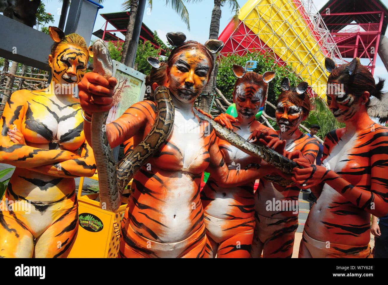 Les modèles chinois avec tiger peintures corporelles posent à Sanya Zoo couleur le jour de la femme dans la ville de Sanya, province de Hainan en Chine du Sud, 8 mars 2017. Un groupe Banque D'Images