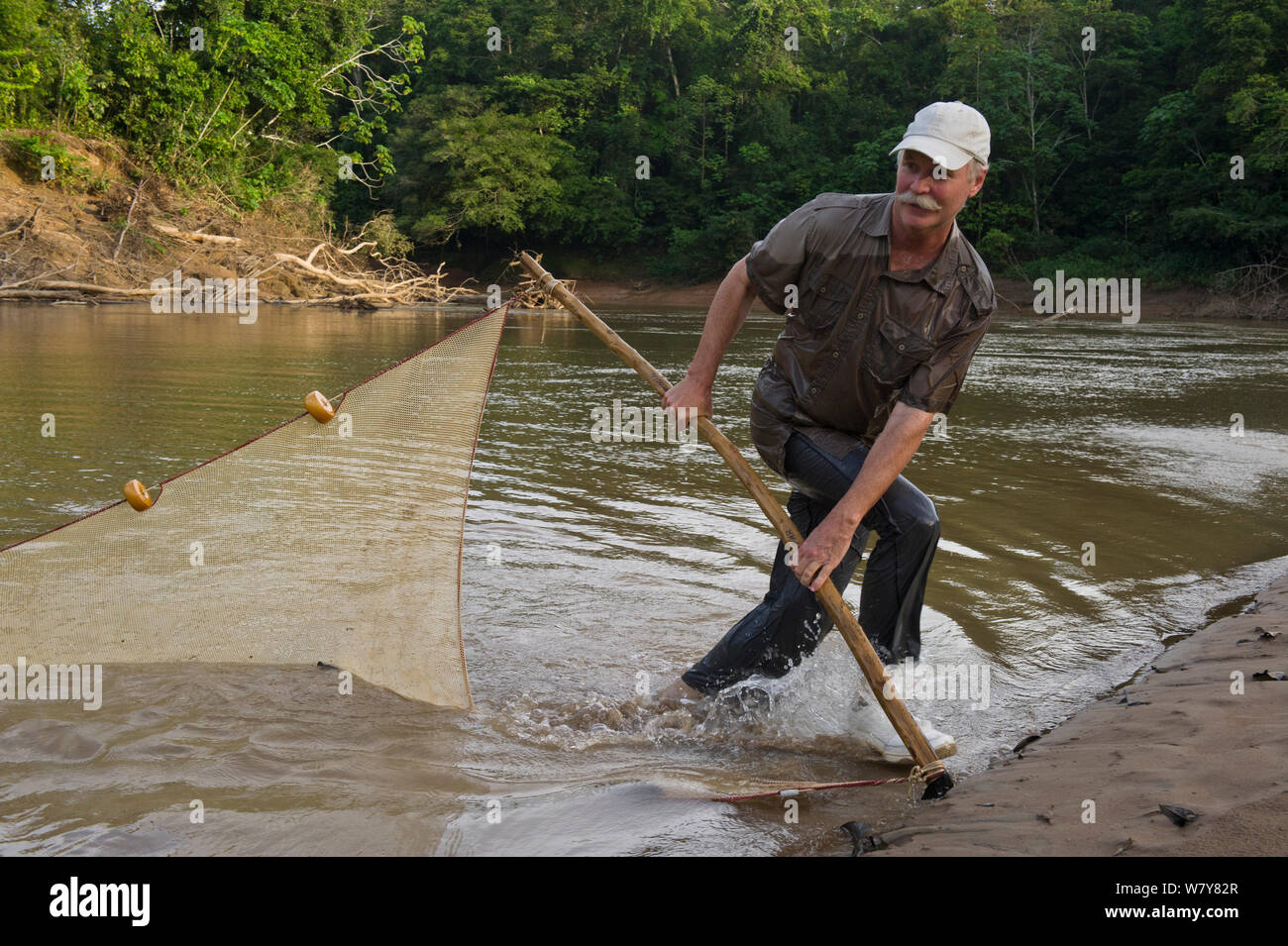 Le Dr Kelly Swing pêche pour la recherche. Rivière Tiputini, le Parc National Yasuní, Amazon Rainforest, Equateur, Amérique du Sud Banque D'Images