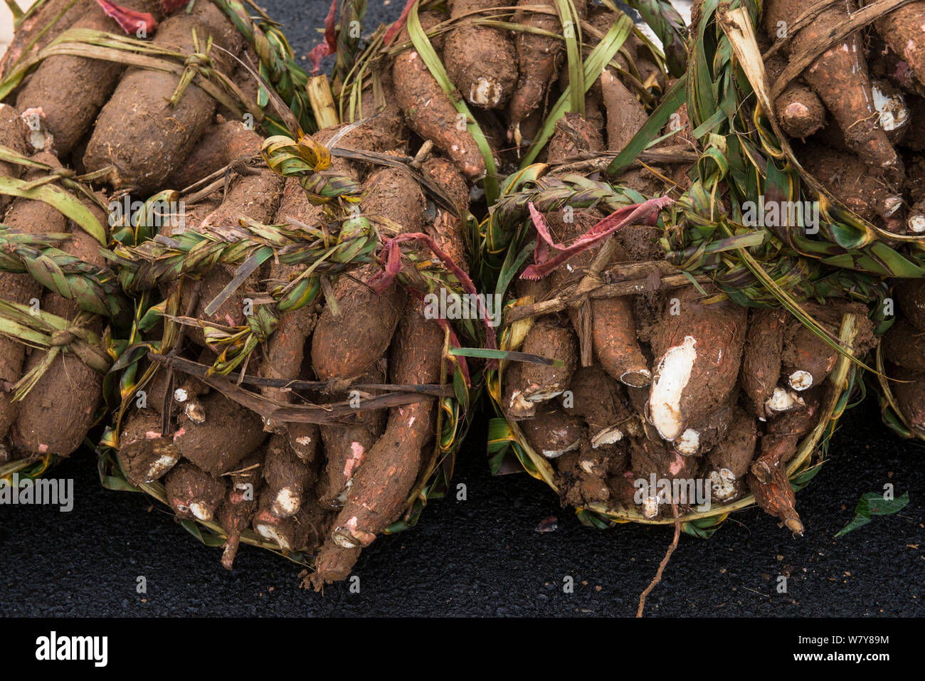 Le manioc pour la vente, marché de Suva, Viti Levu, Fidji, Pacifique Sud, avril 2014. Banque D'Images