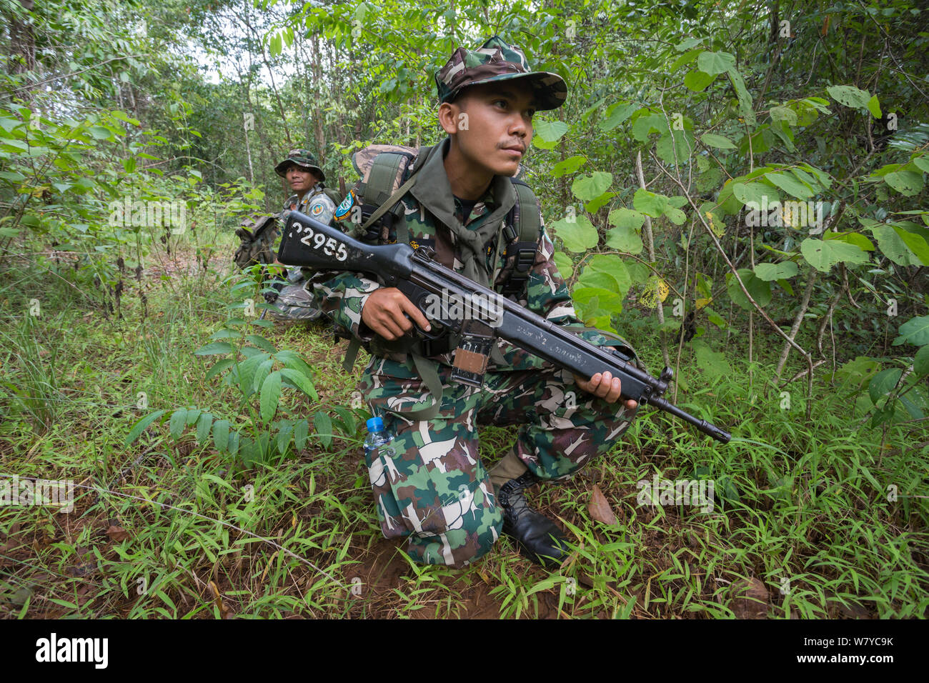 La patrouille anti-braconnage, Thap lan national park, Complexe forestier de Dong Phayayen-Khao Yai, l'est de la Thaïlande, août, 2014. Banque D'Images
