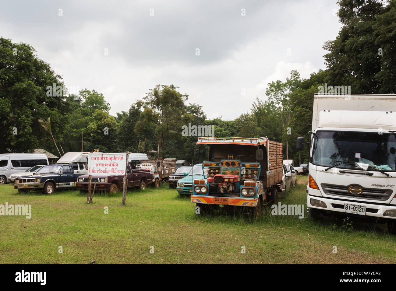 Les véhicules confisqués à des braconniers, Siam rosewood tree stockées en tant que preuve, Thap Lan National Park, Complexe forestier de Dong Phayayen-Khao Yai, Thaïlande, de l'est août. Banque D'Images