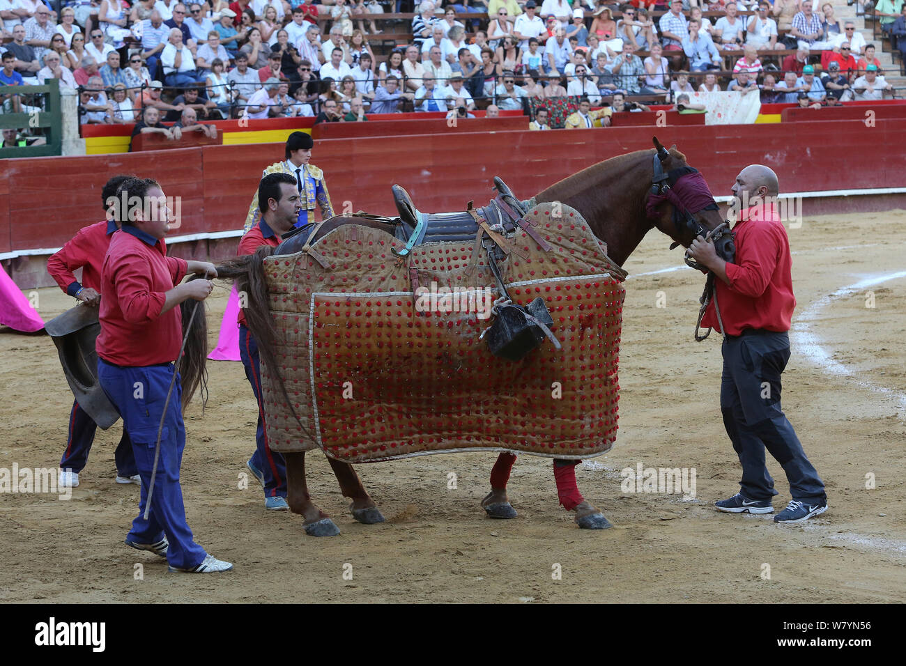 Le port de cheval &# 39;peto&# 39 ; matières au cours de la première ronde de la corrida,Tercio de Varas, Plaza de Toros, Valencia, Espagne, juillet 2014. Banque D'Images