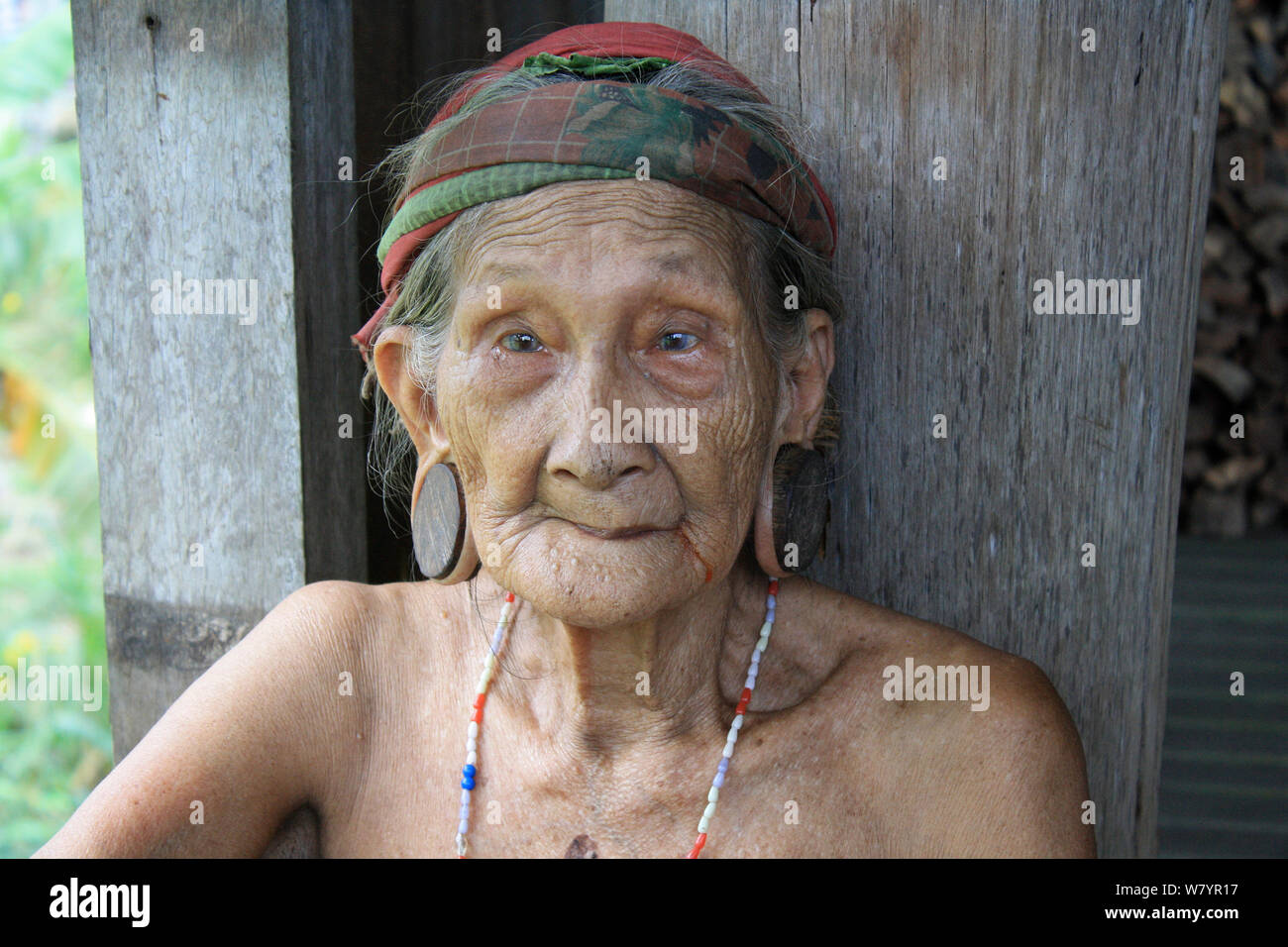 Personnes âgées femme Dayak avec lobes de l'oreille tendue, le centre du Kalimantan, Indonésie, Bornéo. Juin 2010. Banque D'Images