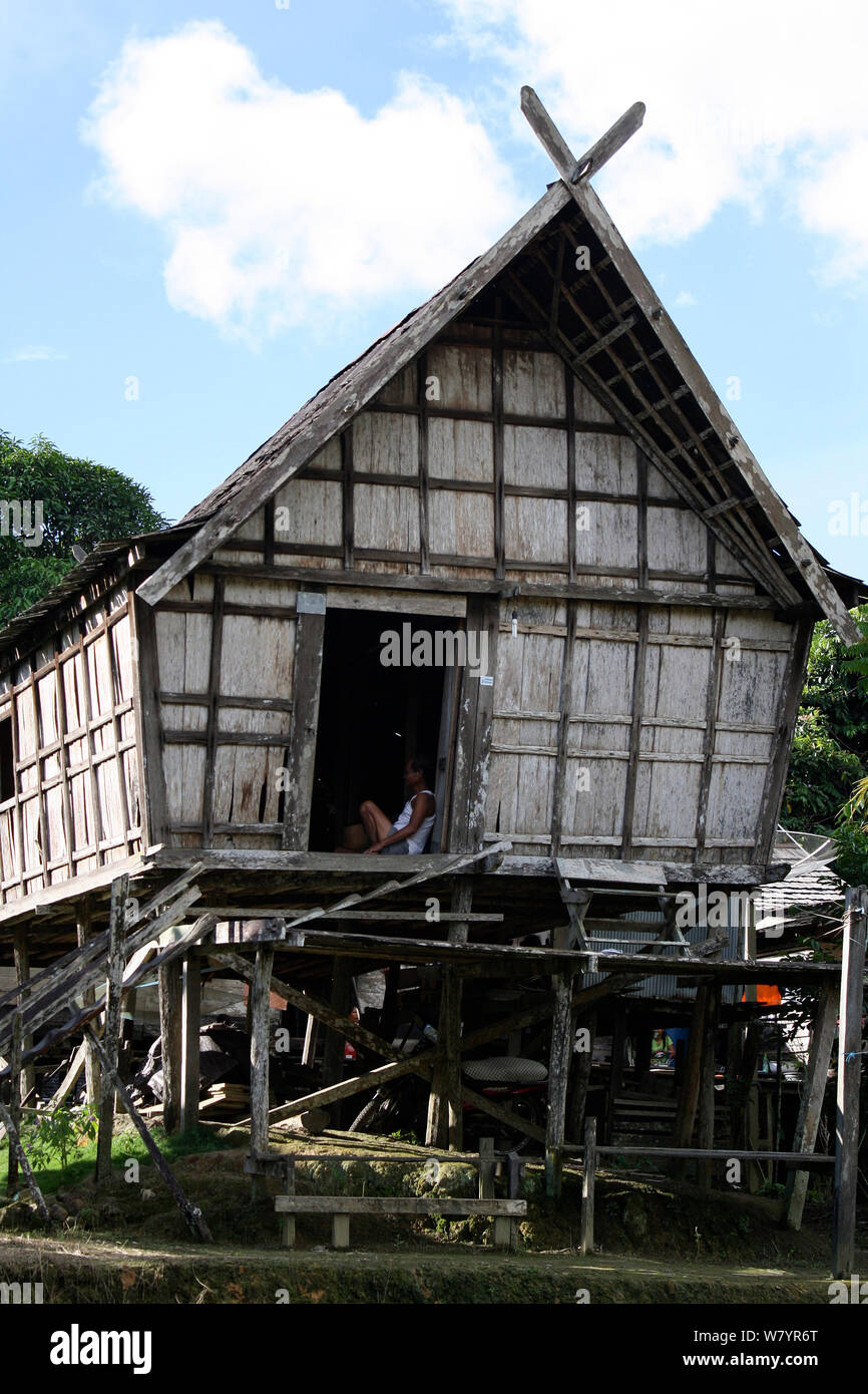 Maison longue traditionnelle, le sud de Kalimantan Dayak, dans la partie indonésienne de Bornéo. Août 2010. Banque D'Images