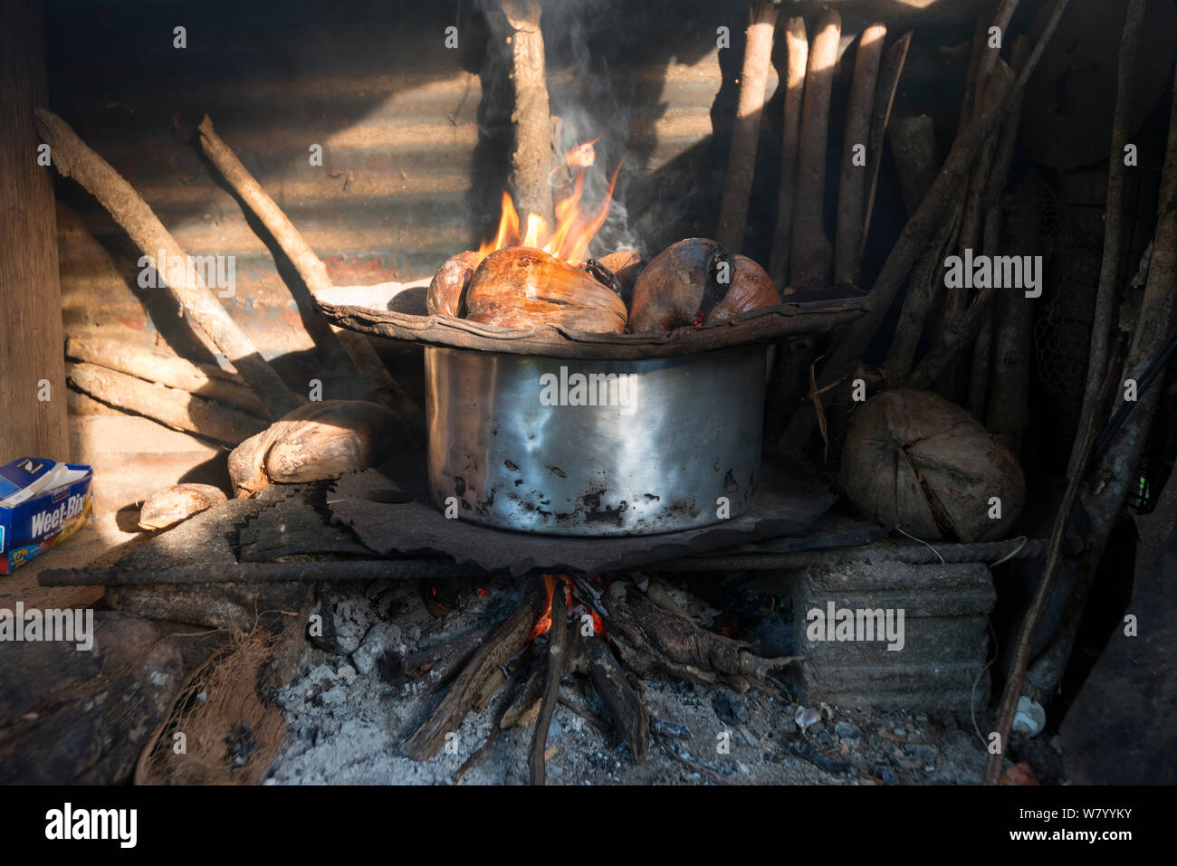 Cuisine Fidjienne en plein air avec four à charbon, le Mali, l'île de la province de Macuata, Fidji, Pacifique Sud. Août 2013 Banque D'Images