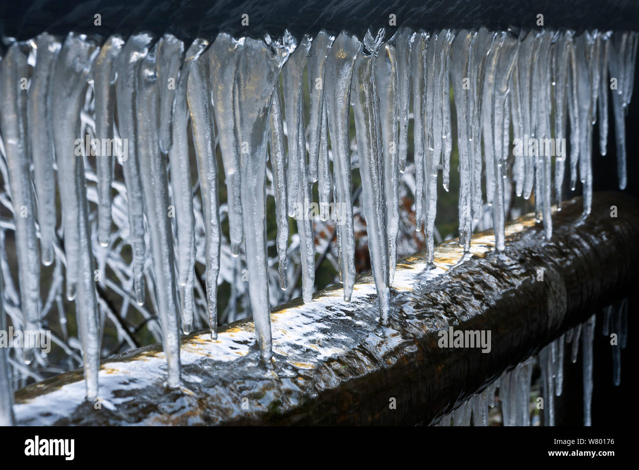 Les glaçons sur une clôture en Silver Falls State Park, Oregon, USA, décembre 2014. Banque D'Images