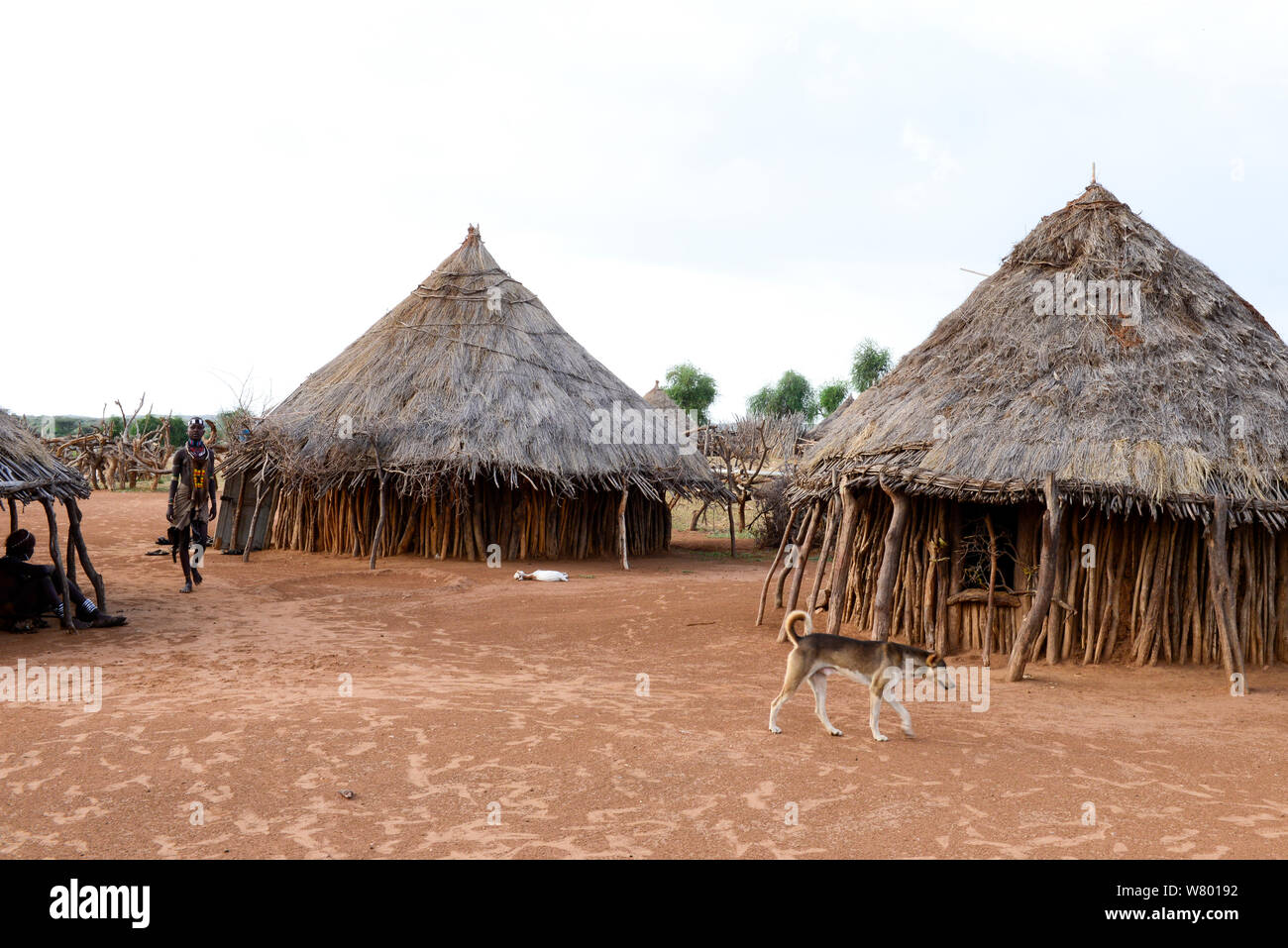 Hamer village, avec des maisons traditionnelles de la vallée de l'Omo inférieur. L'Éthiopie, Novembre 2014 Banque D'Images
