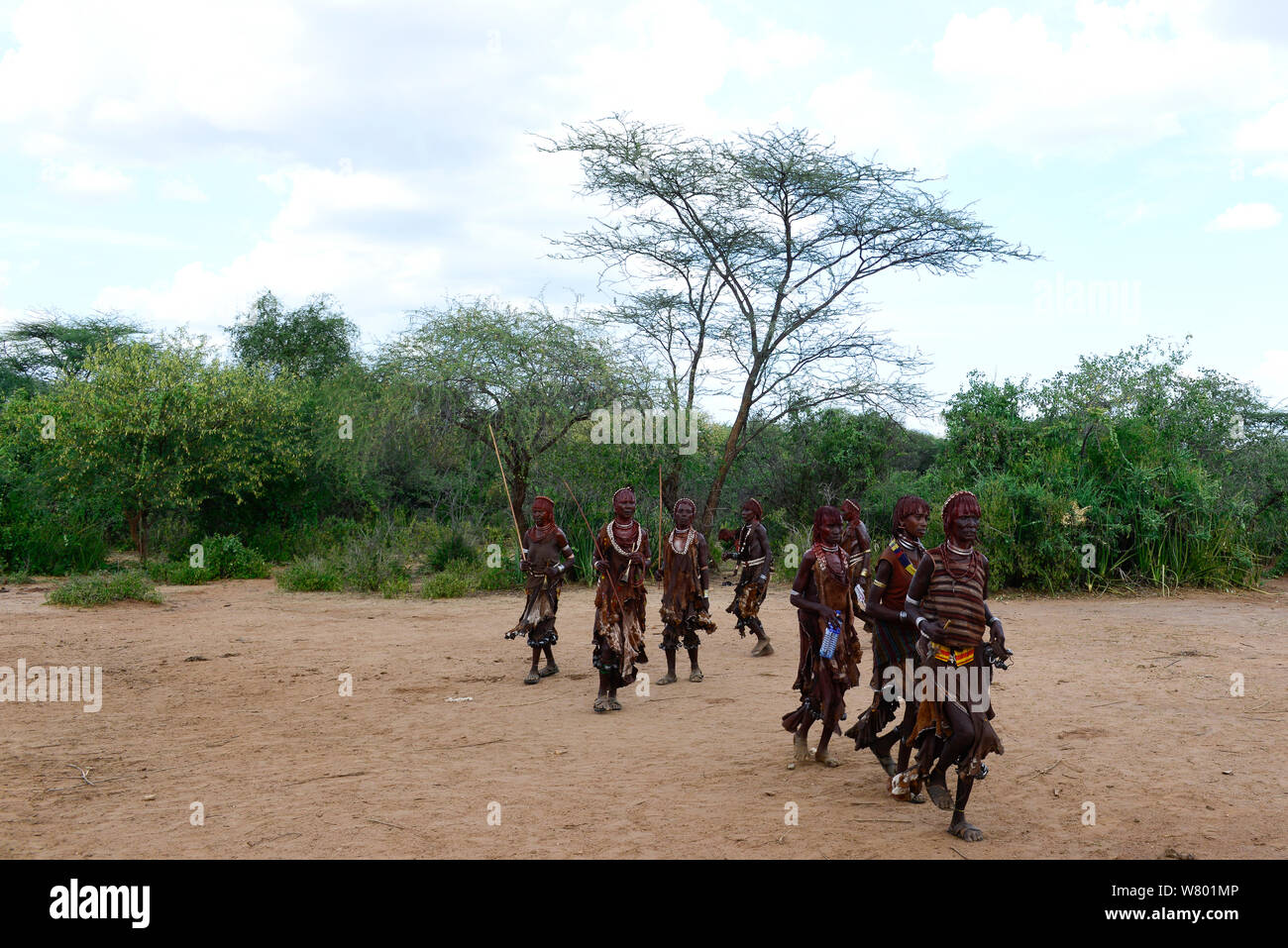 Groupe de femmes à la sautant des taureaux Hamer cérémonie. Cette cérémonie Hamer est un un droit de passage à l'âge adulte pour Hamer les garçons. L'Éthiopie, Novembre 2014 Banque D'Images