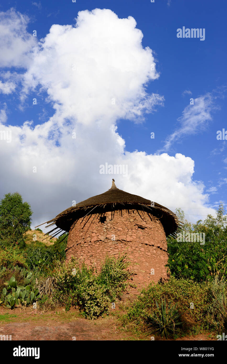 Maison de terre ronde traditionnelle, Lalibela. UNESCO World Heritage Site. L'Éthiopie, décembre 2014. Banque D'Images