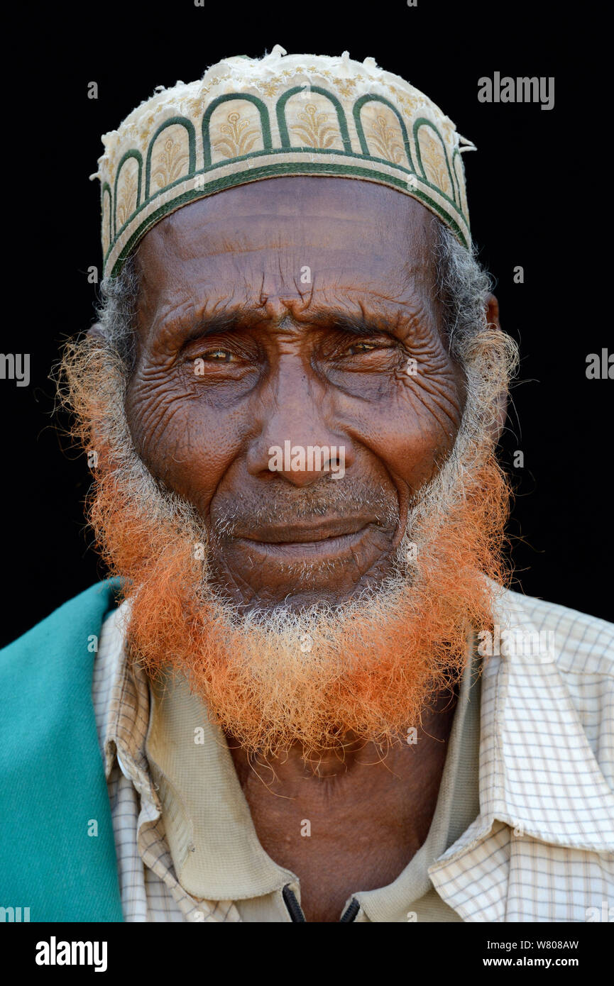 Tête portrait du vieux loin l'homme, avec barbe teints à l'henné, Ahmed Ela village, dépression Danakil, région Afar. L'Éthiopie, mars 2015. Banque D'Images