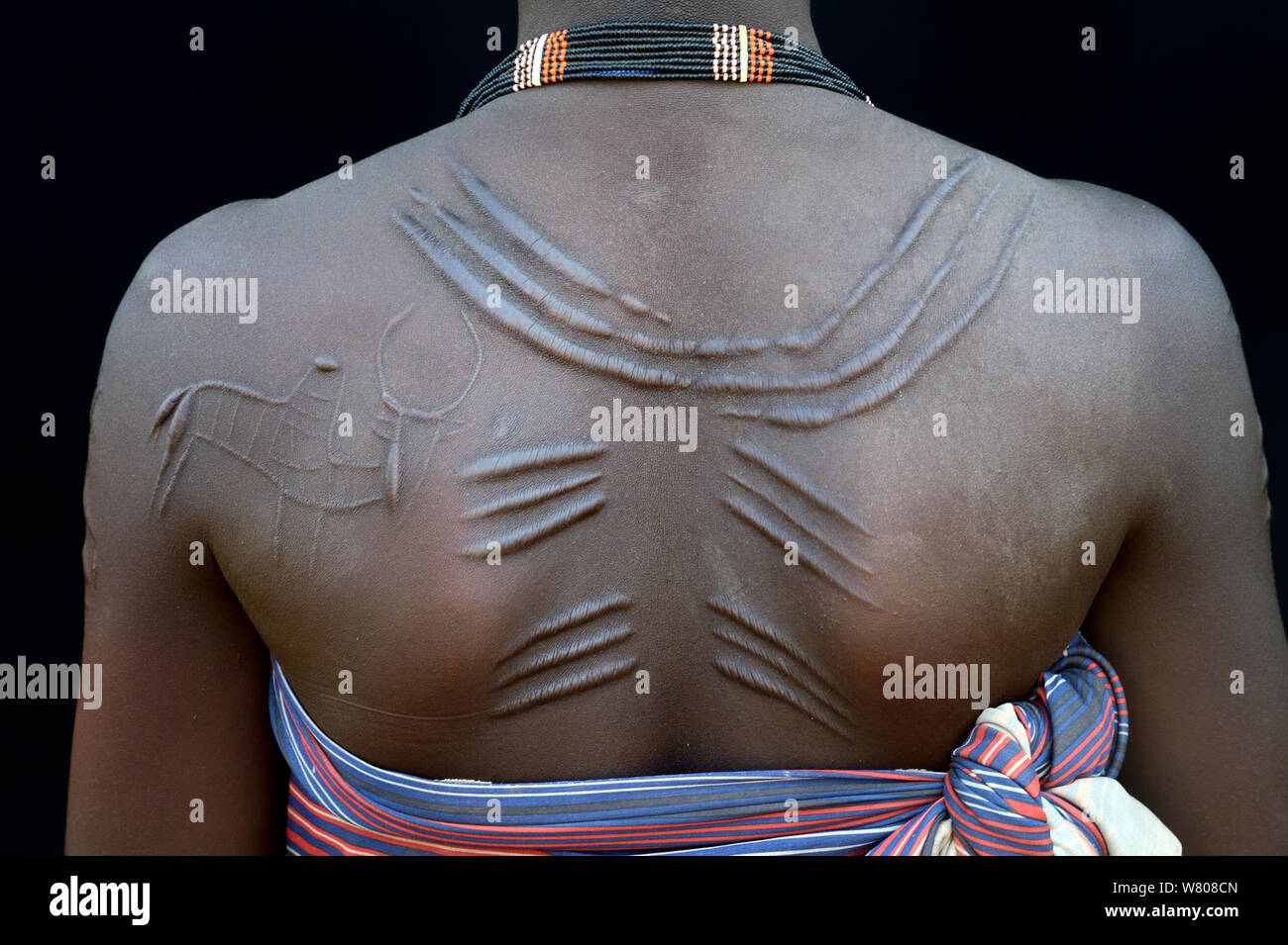 Jeune femme de la tribu Toposas avec peau décoration scarifications sur son dos, vallée de l'Omo, en Ethiopie, en mars 2015. Banque D'Images