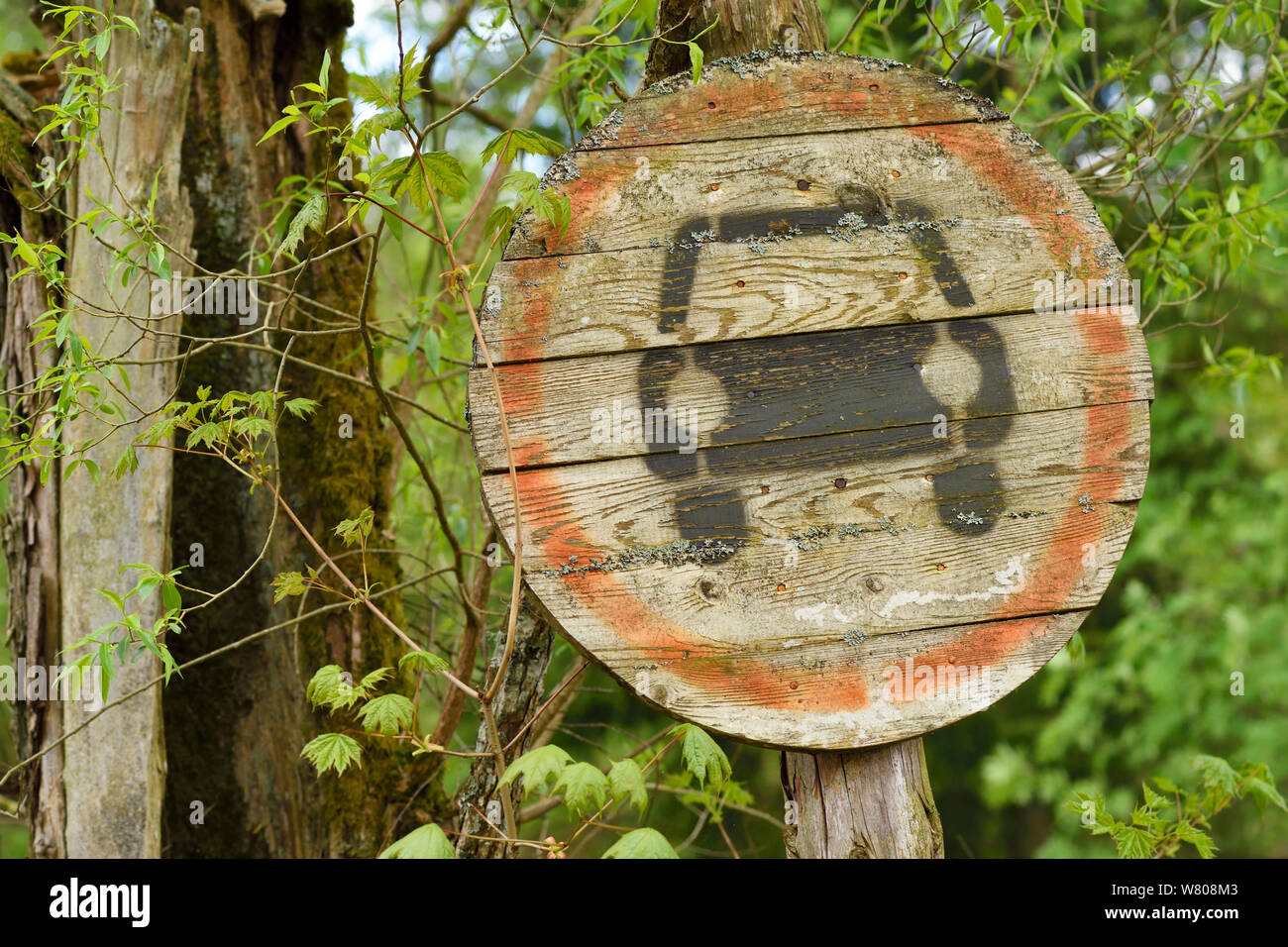 Panneaux de signalisation en bois - Goki WM397