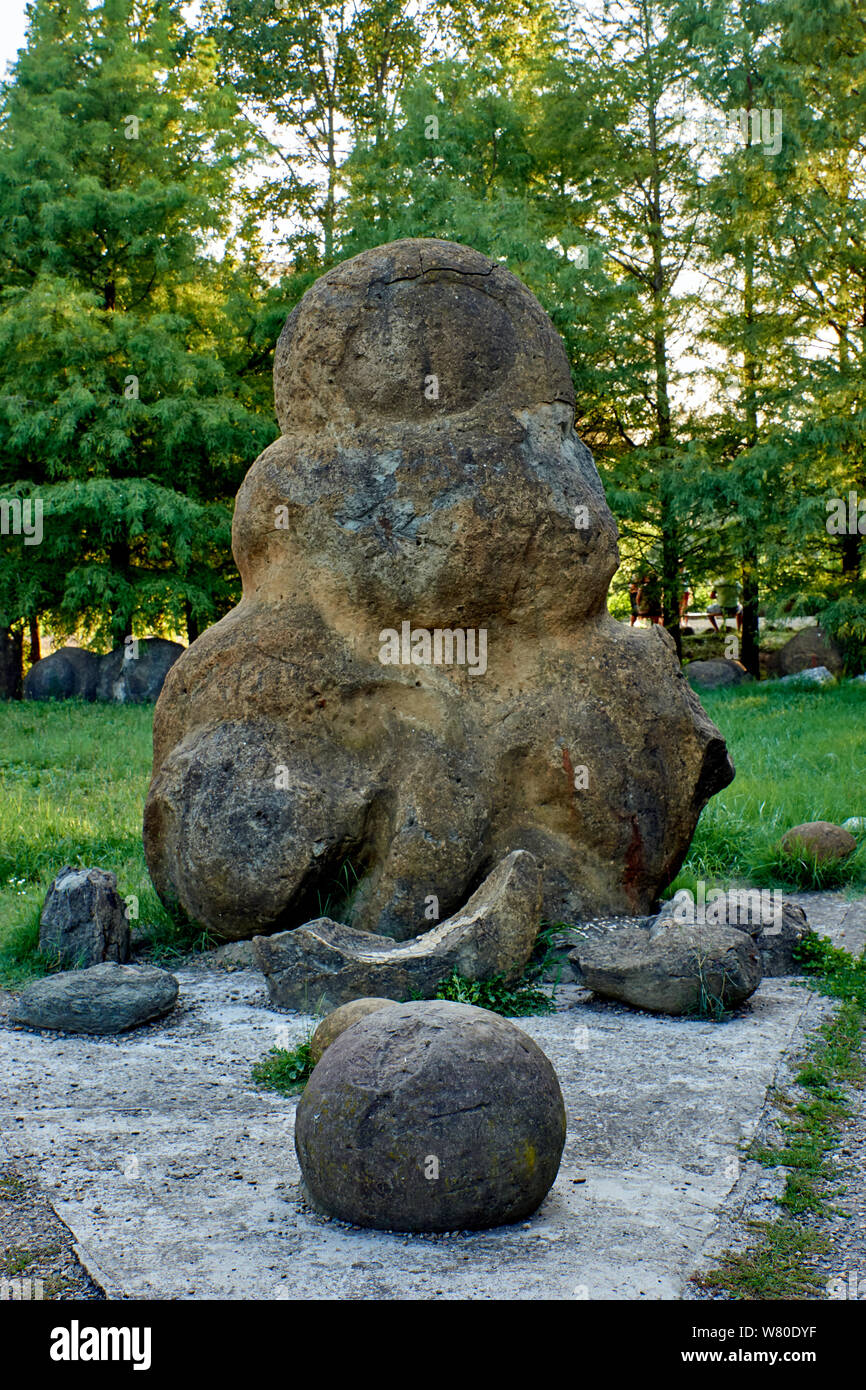 Ammonite pétrifiée, qui ressemble à un étranger résident, dans le contexte de la forêt Banque D'Images