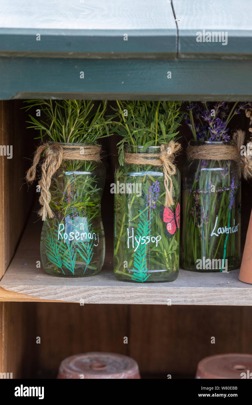 Collection de plantes en pots sur une étagère. UK Banque D'Images