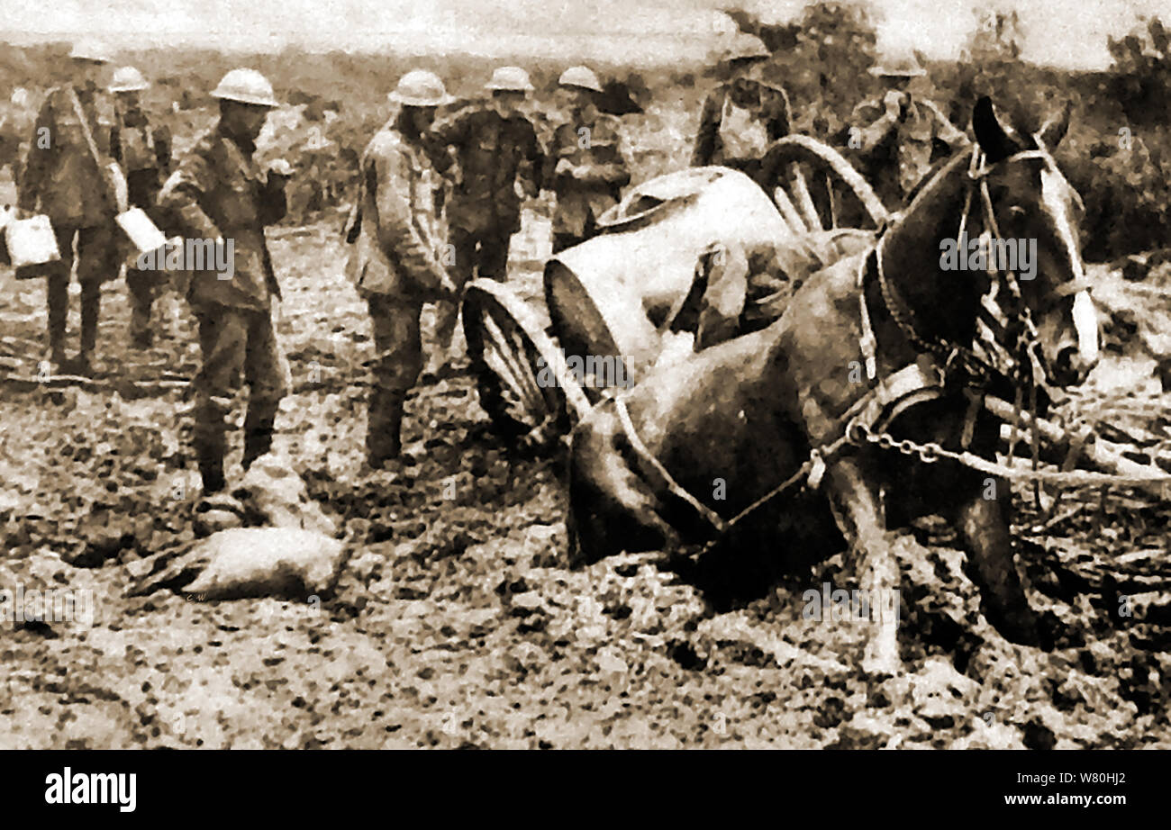 Homme assis dans un chariot tiré par des chevaux durant la guerre civile aux Etats-Unis, vers 1863 Photo Stock - Alamy