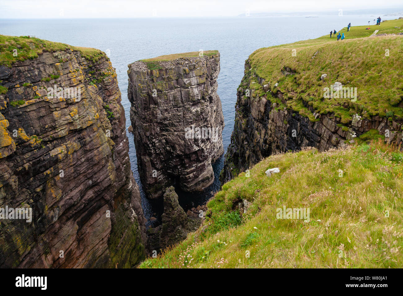 La grande mer pile de l'île de Handa Handa, Sutherland, Scotland, UK Banque D'Images