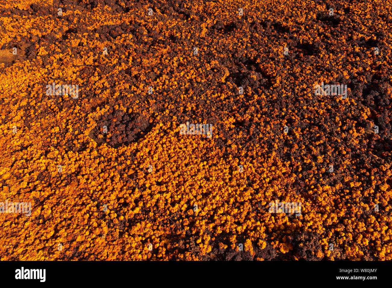 L'oxyde de fer rouge et brun-minéraux, l'énergie géothermique domaine de dépression Danakil, Dallol, Triangle Afar, Ethiopie Banque D'Images