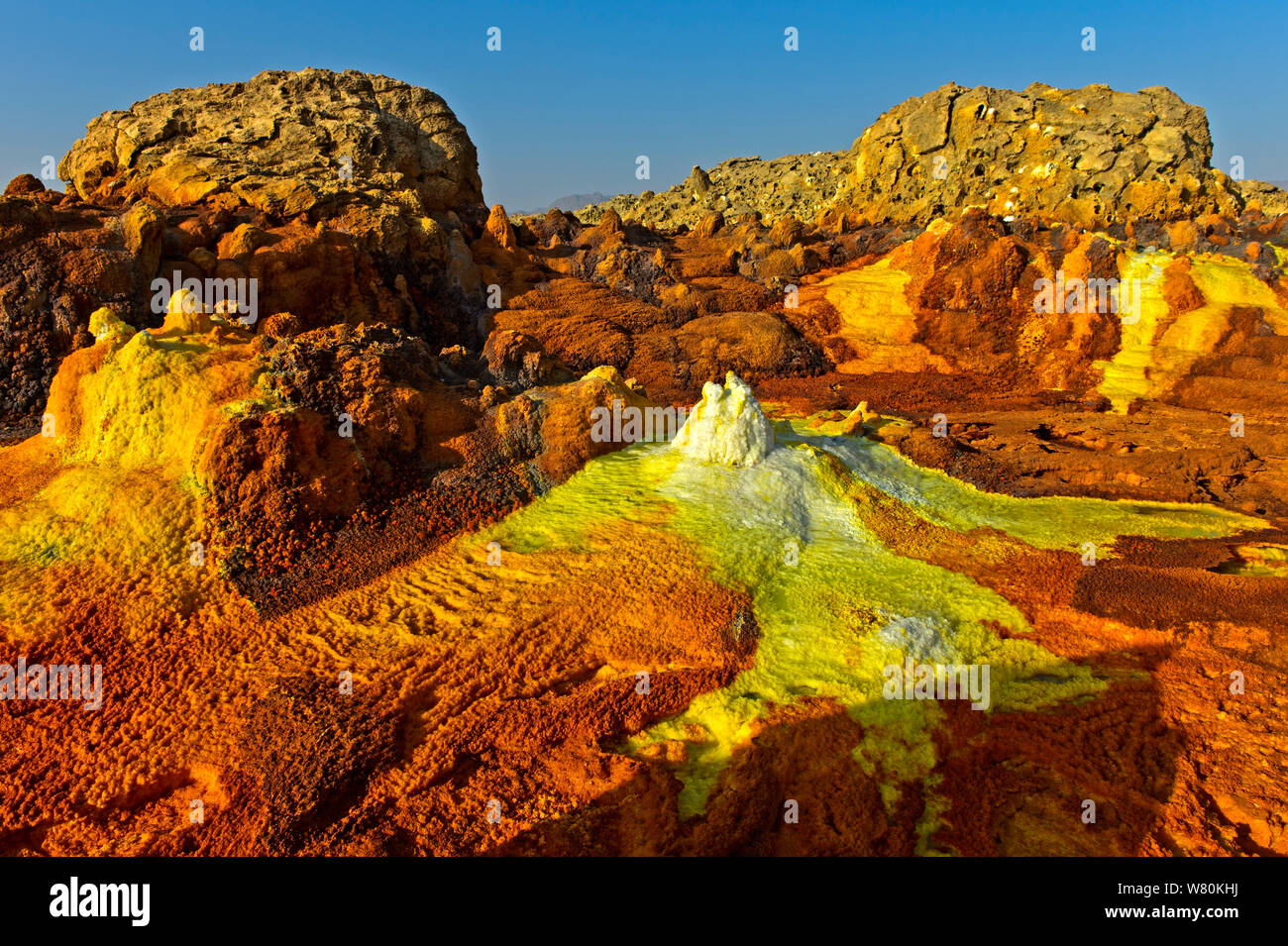 Circulaire à subcircular le champ géothermique de l'halite, monticule de dépression Danakil, Dallol, Triangle Afar, Ethiopie Banque D'Images